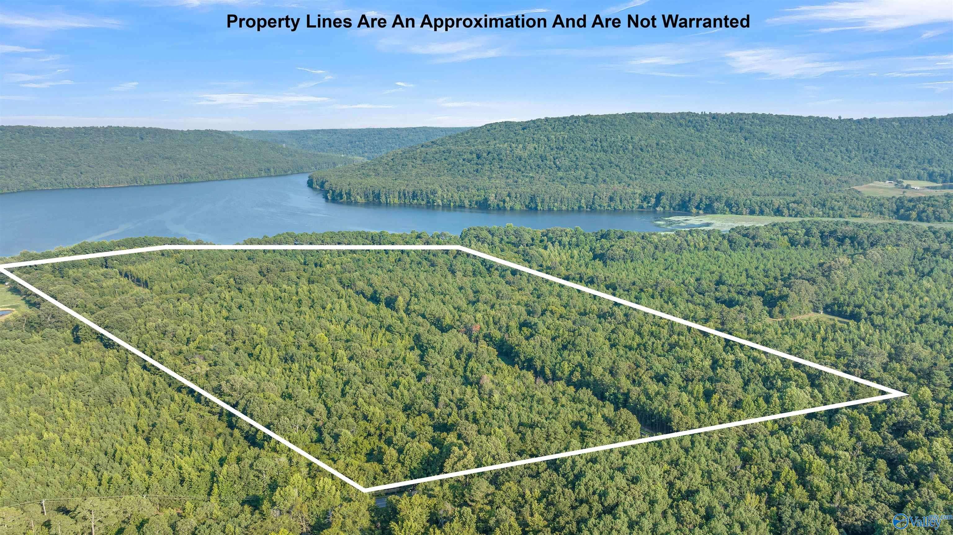 Langston, AL 35755,2.9 acres #10 South Sauty Road