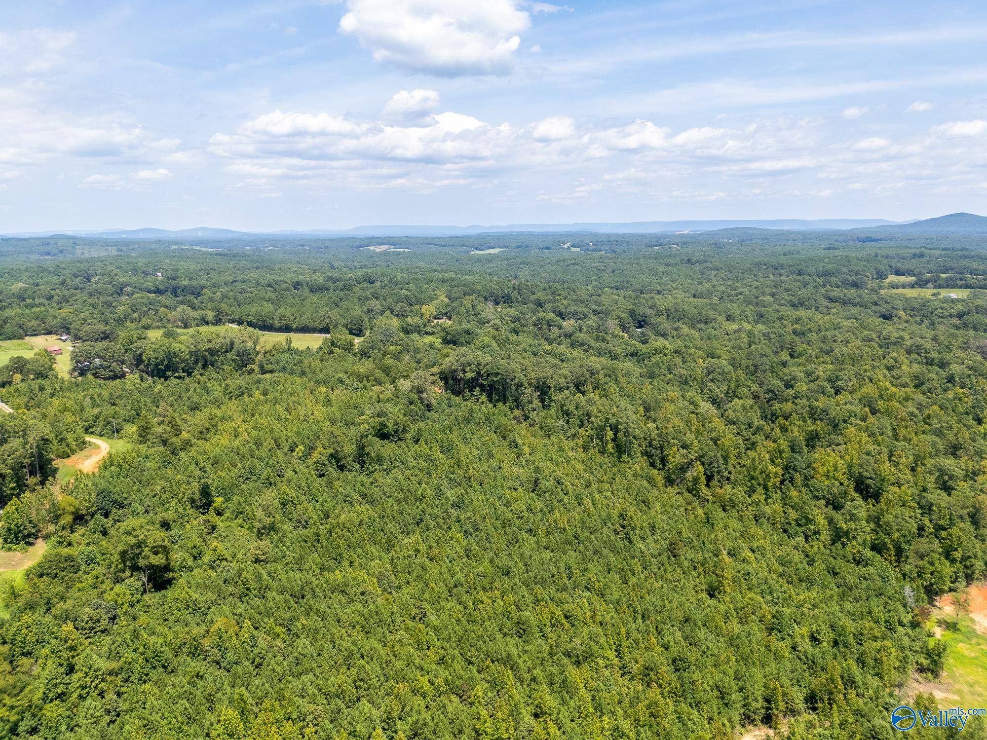 Somerville, AL 35670,Lot 4 Curry Chapel Road