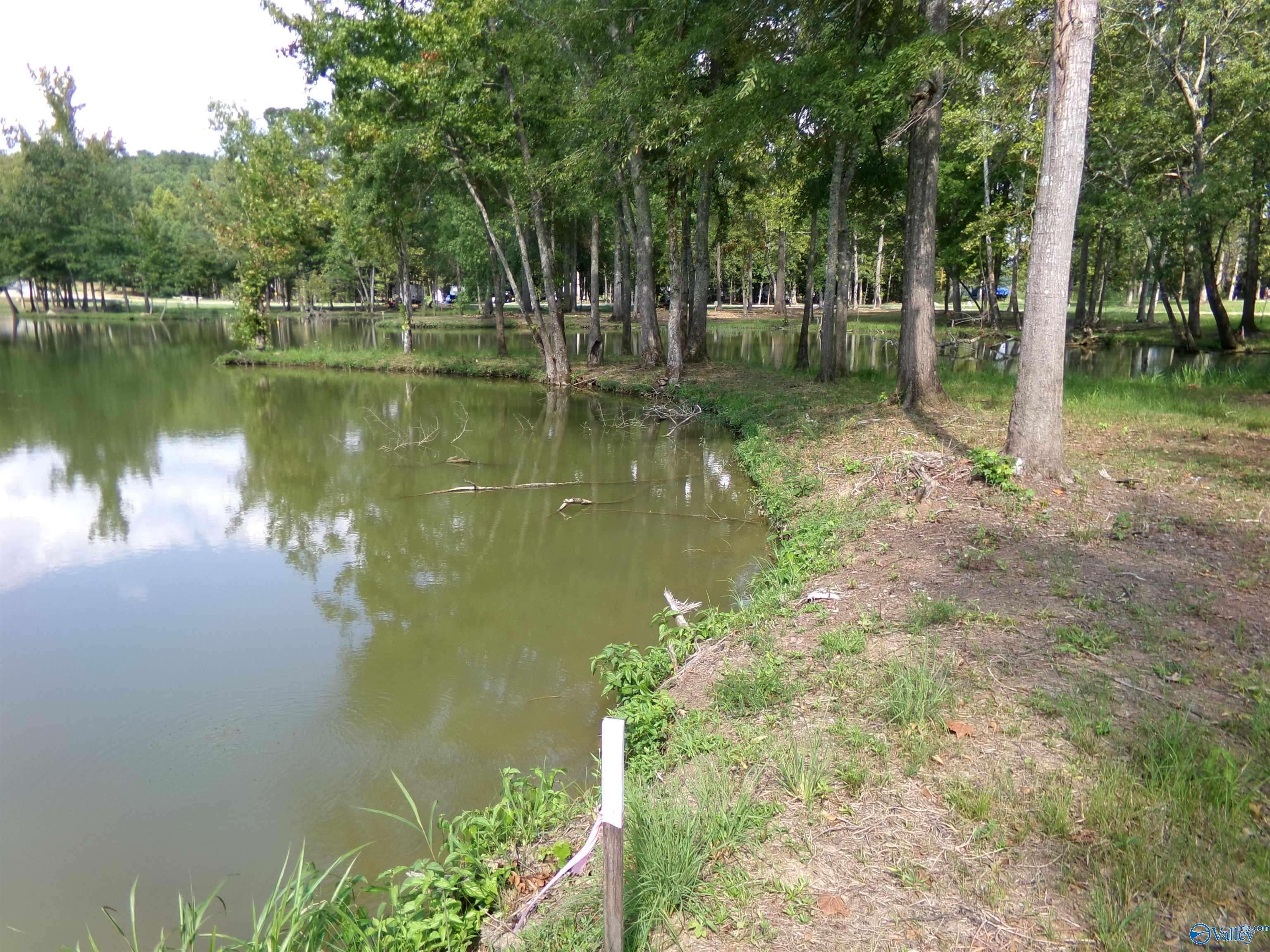 Cedar Bluff, AL 35959,Lot 20 County Road 182