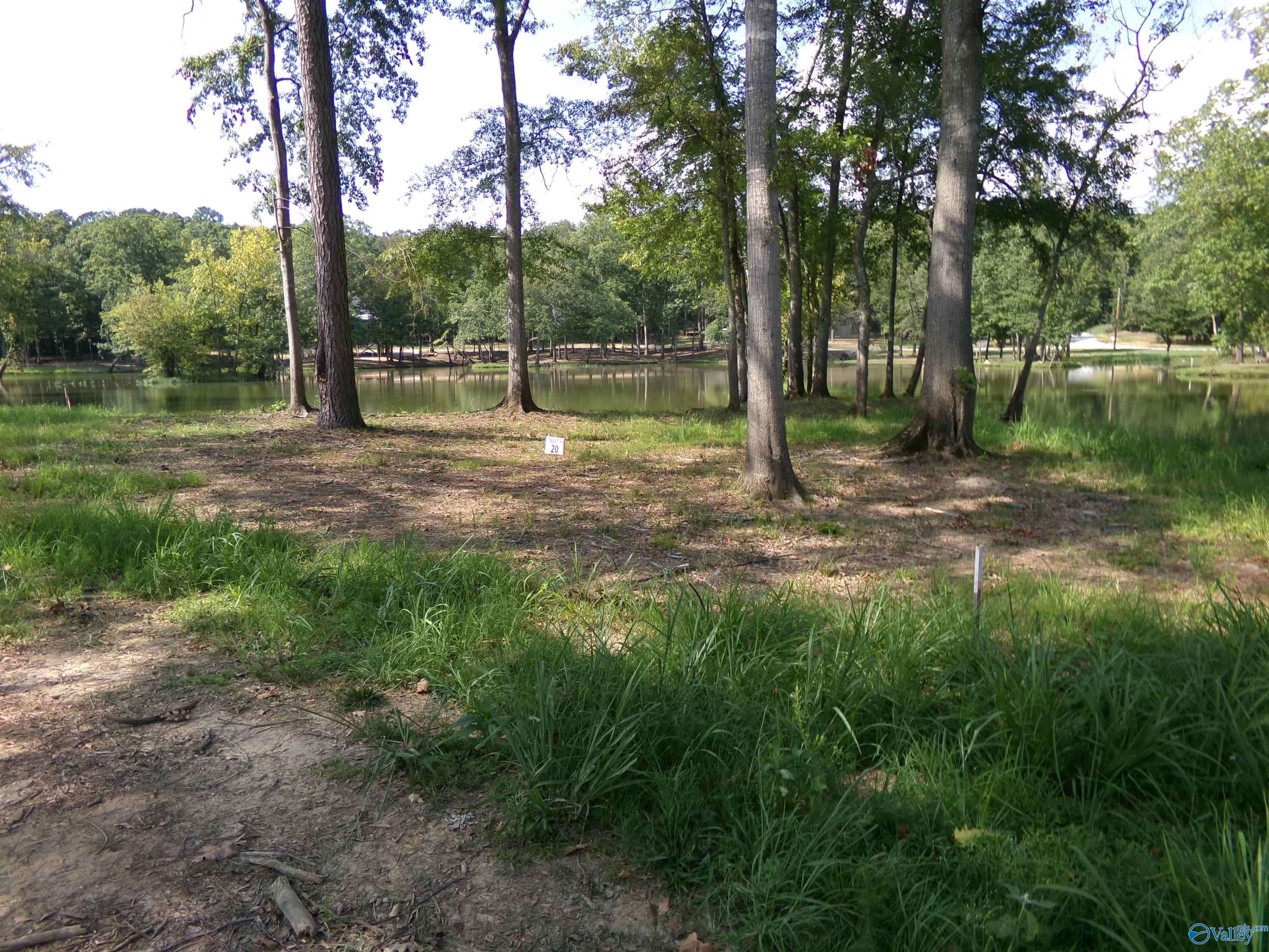 Cedar Bluff, AL 35959,Lot 20 County Road 182