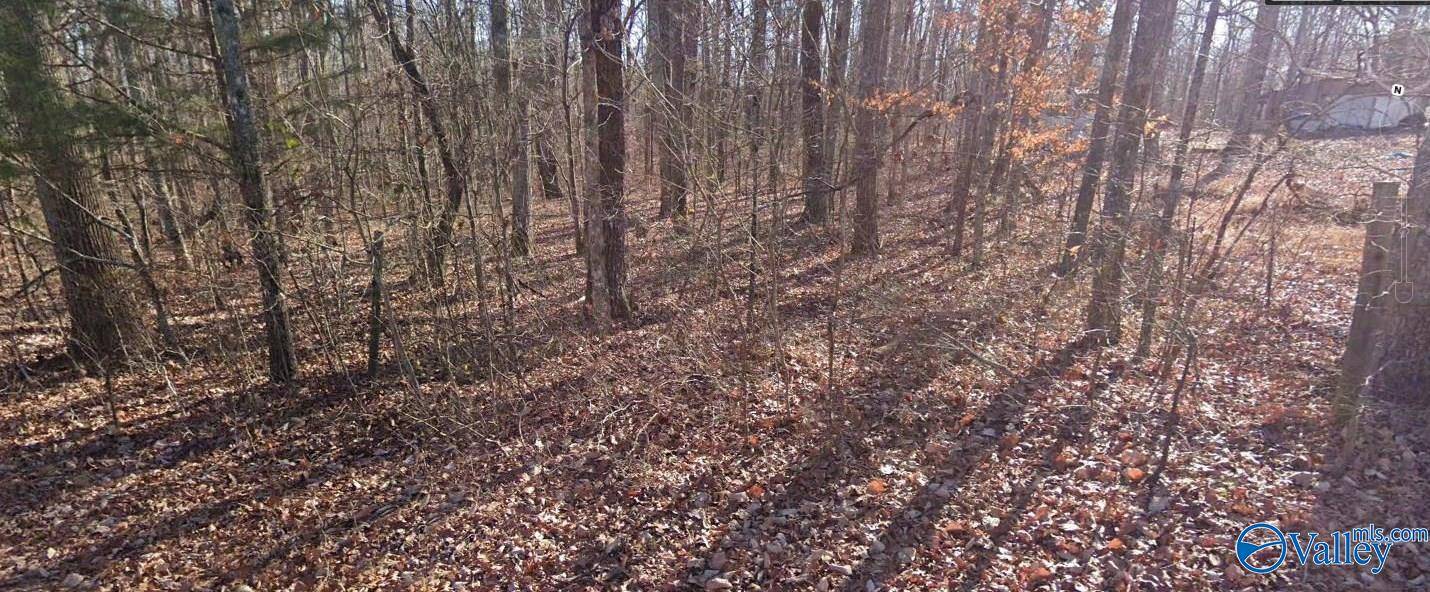 Gurley, AL 35748,1 Acre Keel Mountain Road