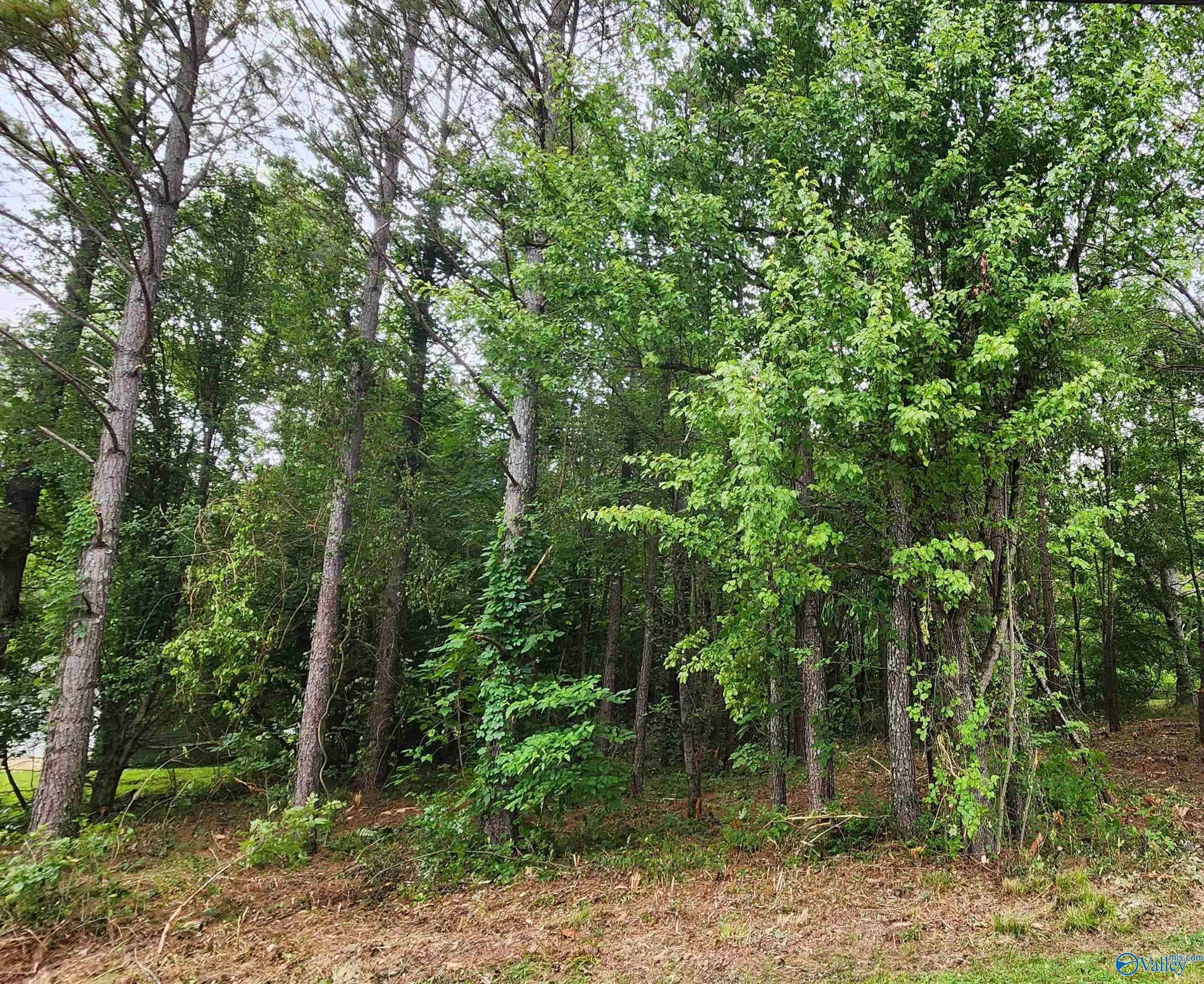 Gurley, AL 35748,1 Acre Keel Mountain Road