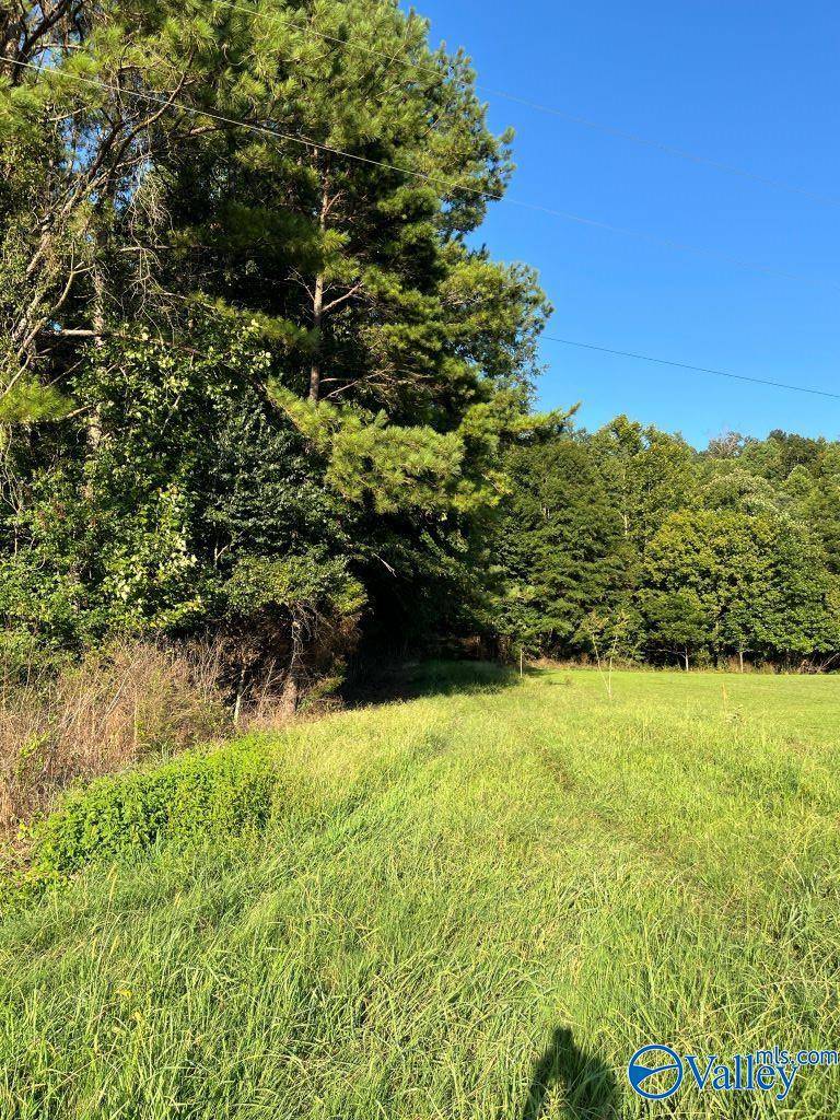 Arab, AL 35016,6090 Ruth Mountain Road