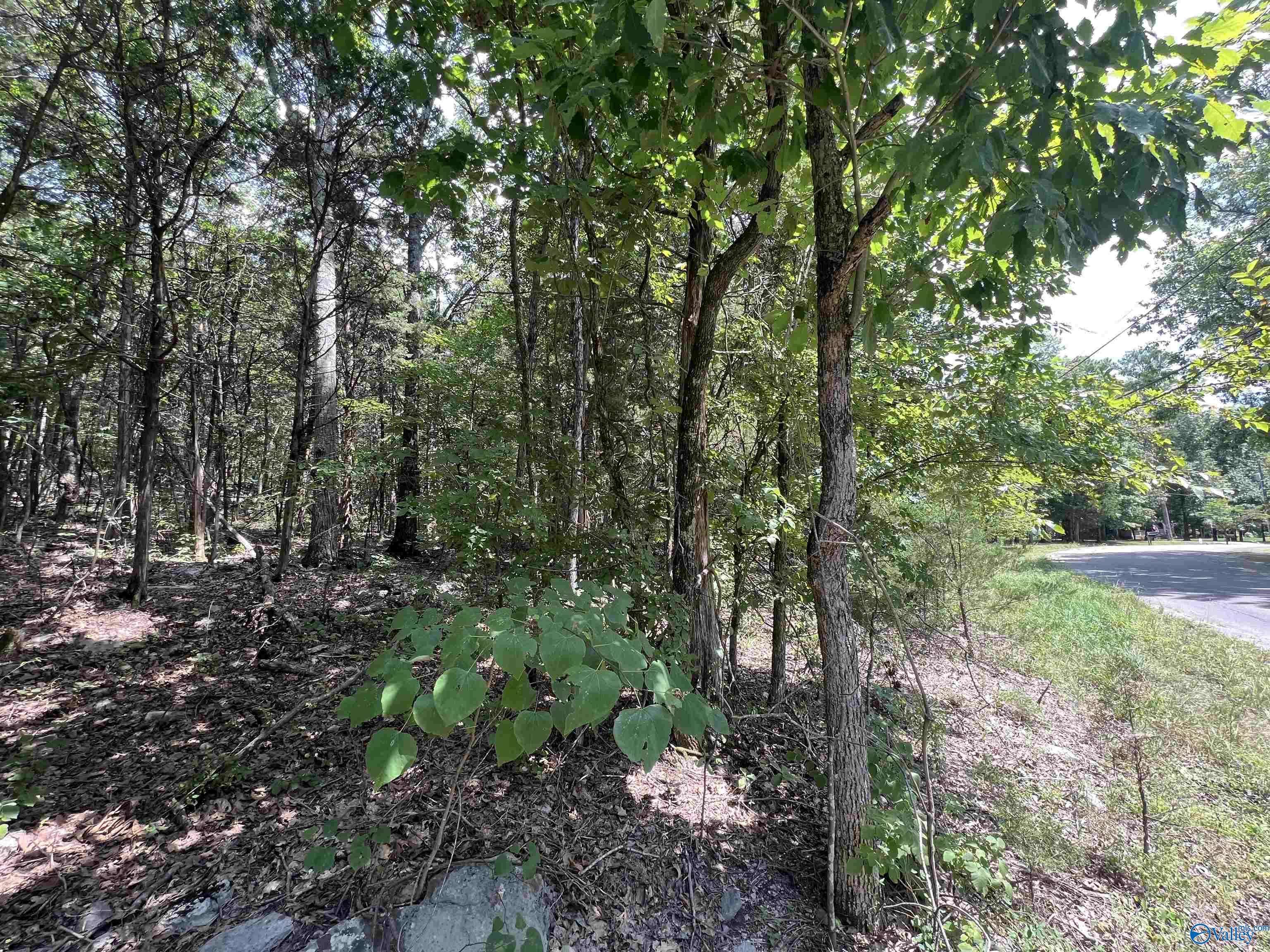 Laceys Spring, AL 35754,1.9 acres Korgan Avenue E