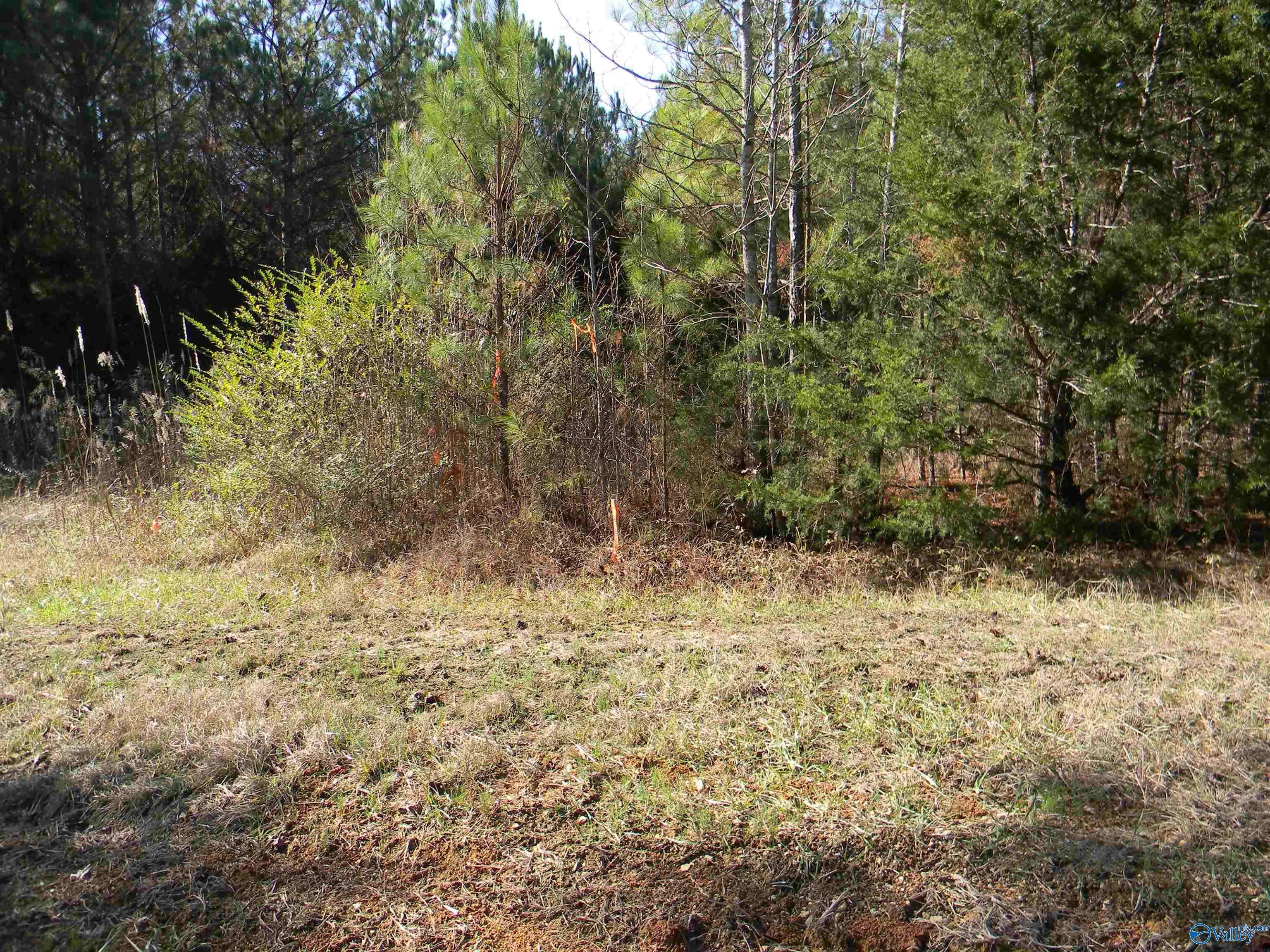 Gaylesville, AL 35973,Tracks 3-4-5 County Road 143