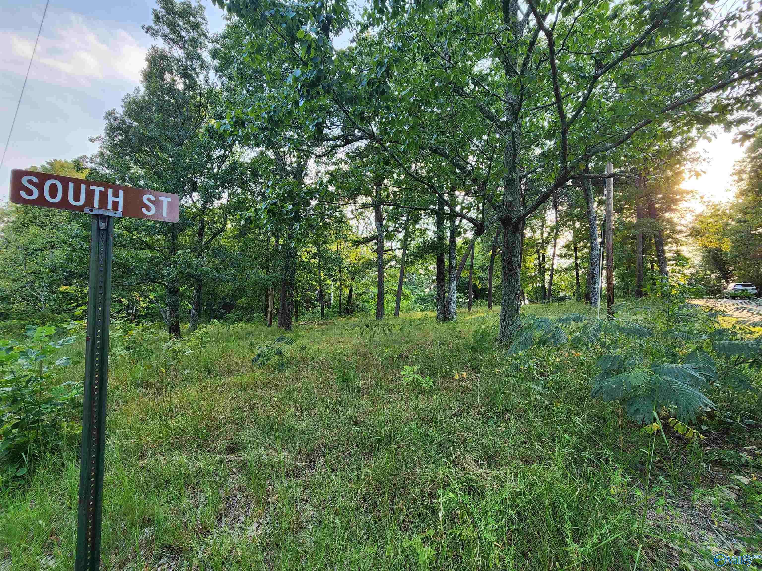 Mentone, AL 35984,Lot #1,2,13,14, North Cool Street