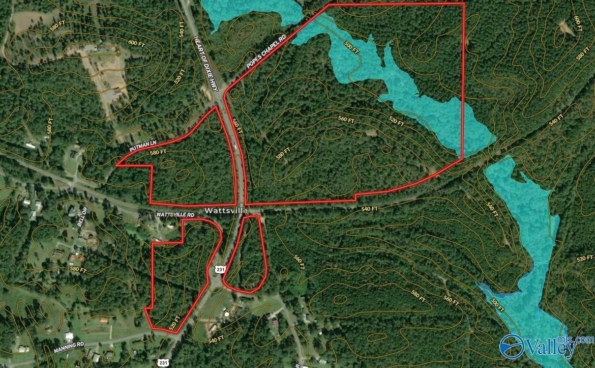 Wattsville, AL 35131,161 Acres Highway 231