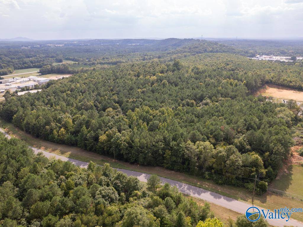 Lincoln, AL 35096,92 Acres Industrial Drive