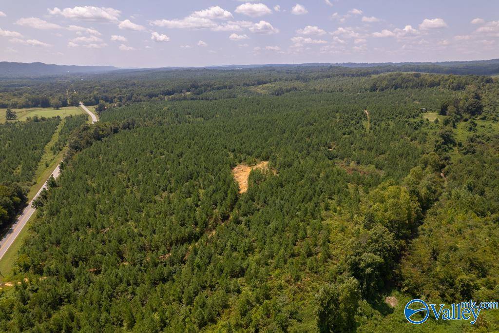 Attalla, AL 35954,70 acres Highway 227