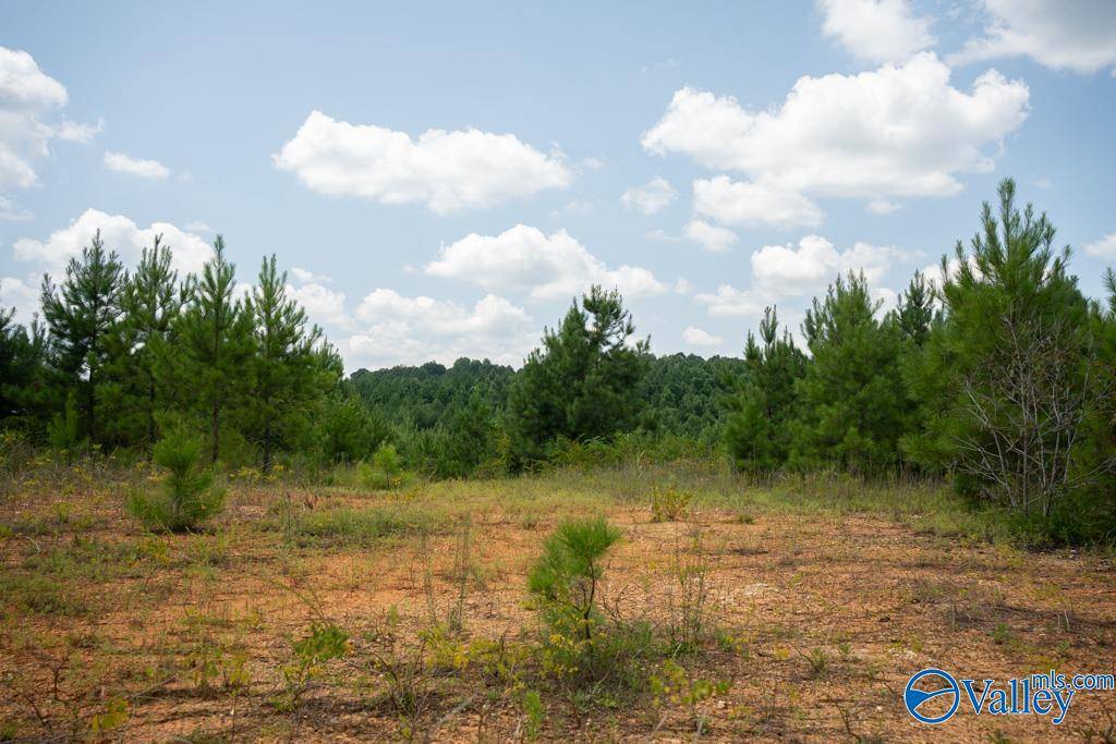 Attalla, AL 35954,70 acres Highway 227