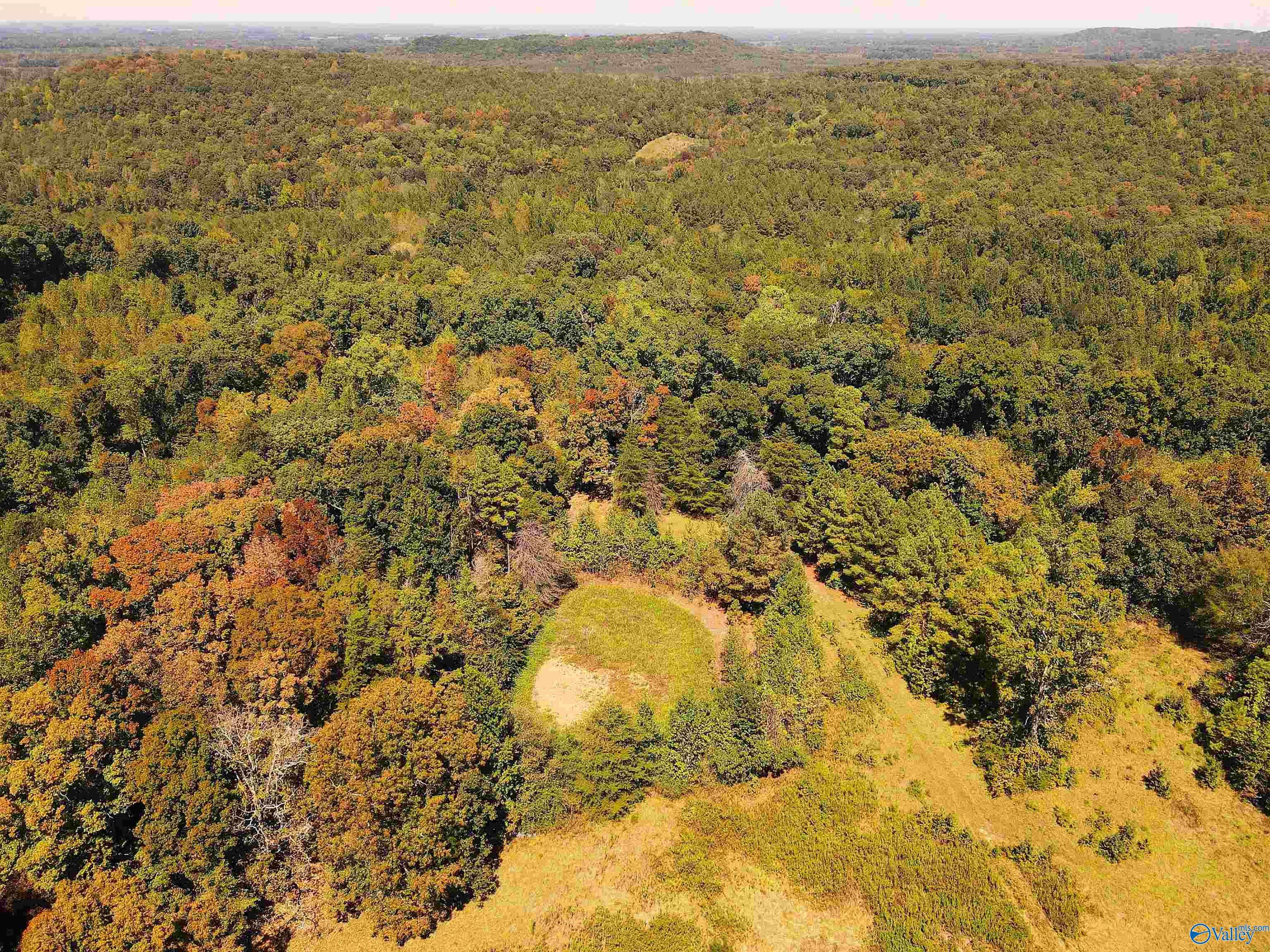 Town Creek, AL 35672,117 Acres County Road 140