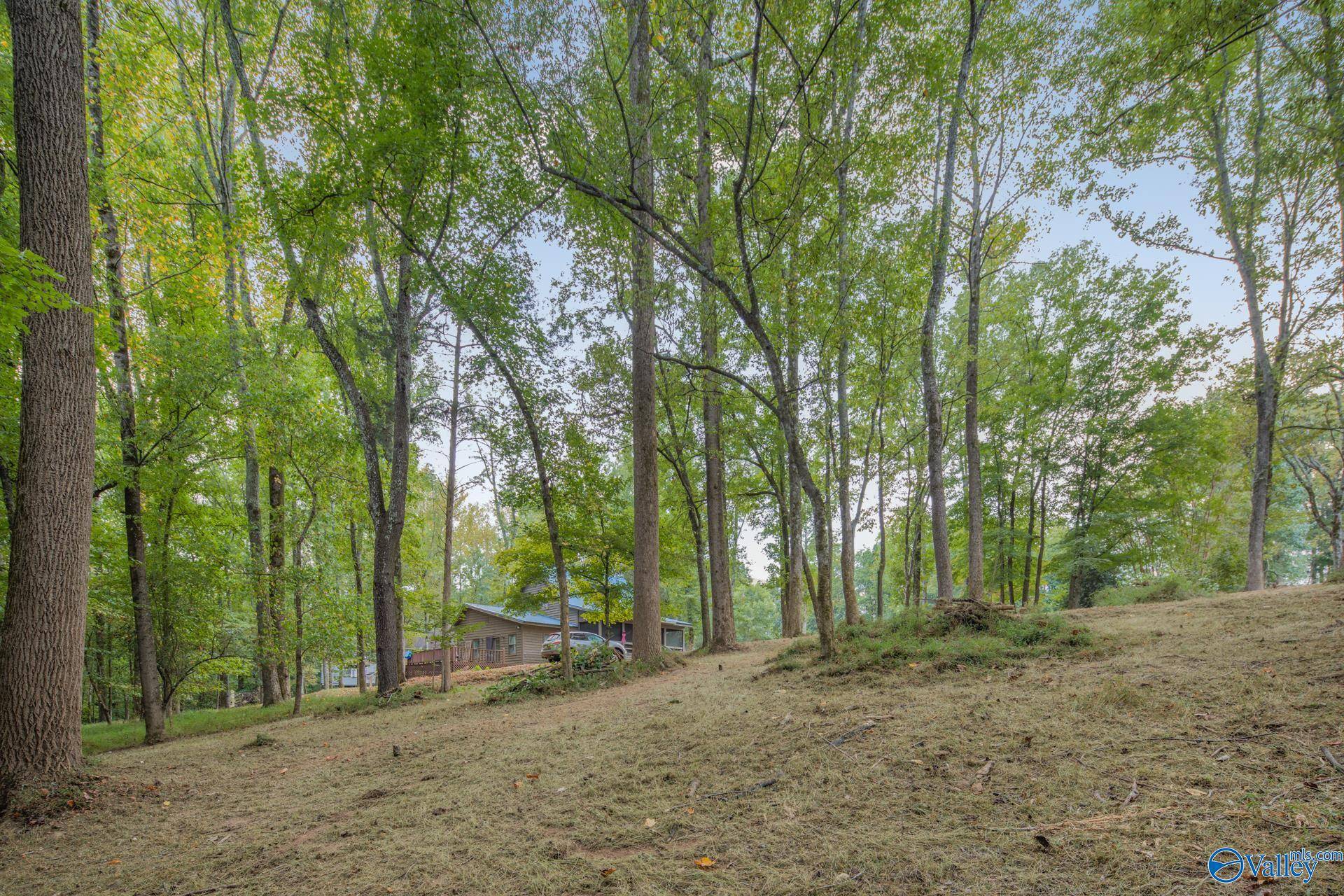 Elkmont, AL 35620,Lot 6, Block 4 Sulpher Creek