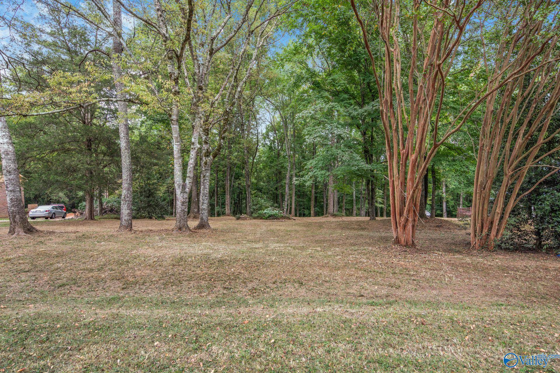 Elkmont, AL 35620,Lot 6, Block 4 Sulpher Creek