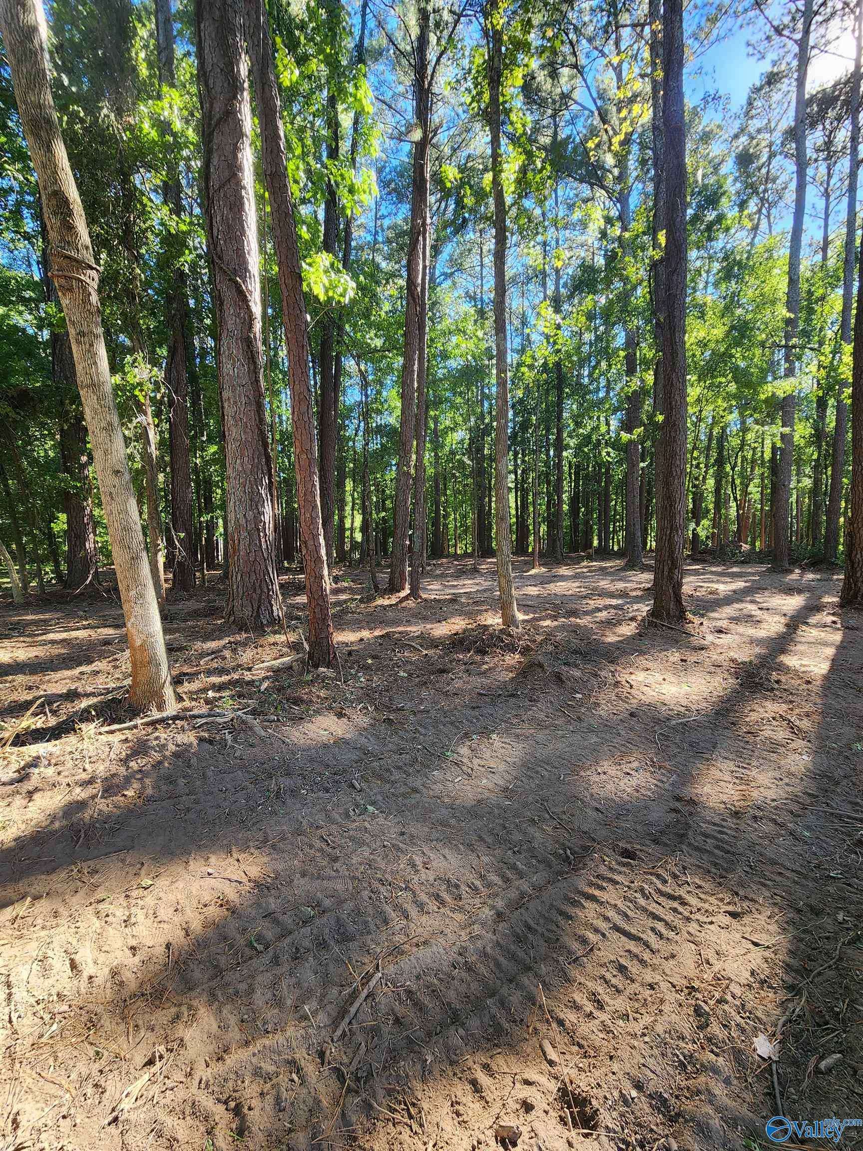 Laceys Spring, AL 35754,Lot 2 Dogwood Drive