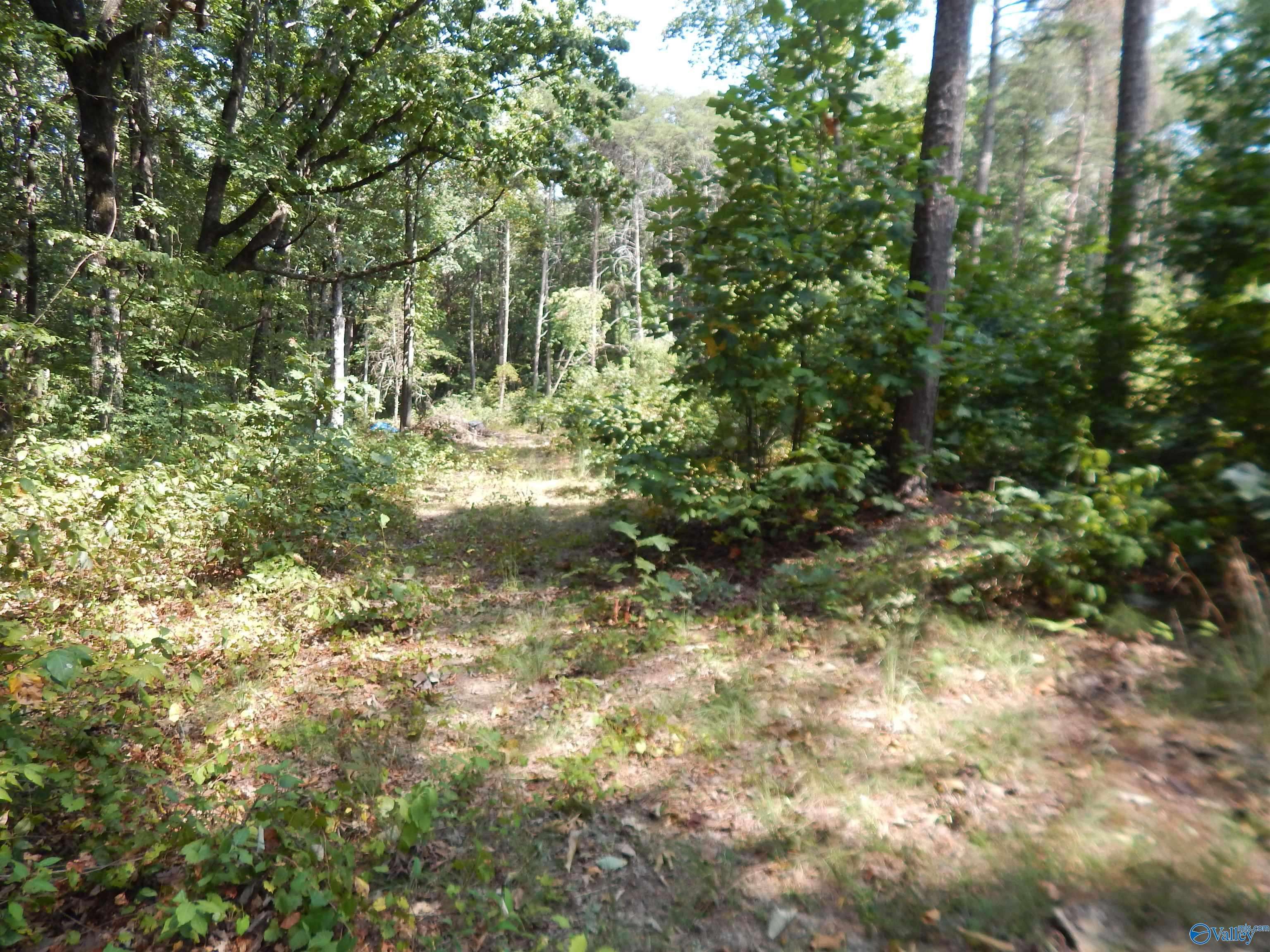 Fort Payne, AL 35967,1 acre County Road 853