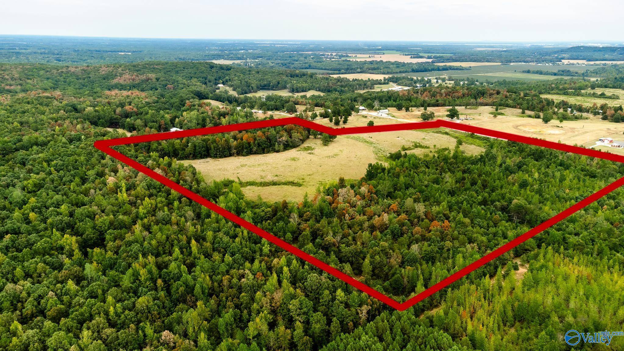 Hillsboro, AL 35643,1591 County Road 296