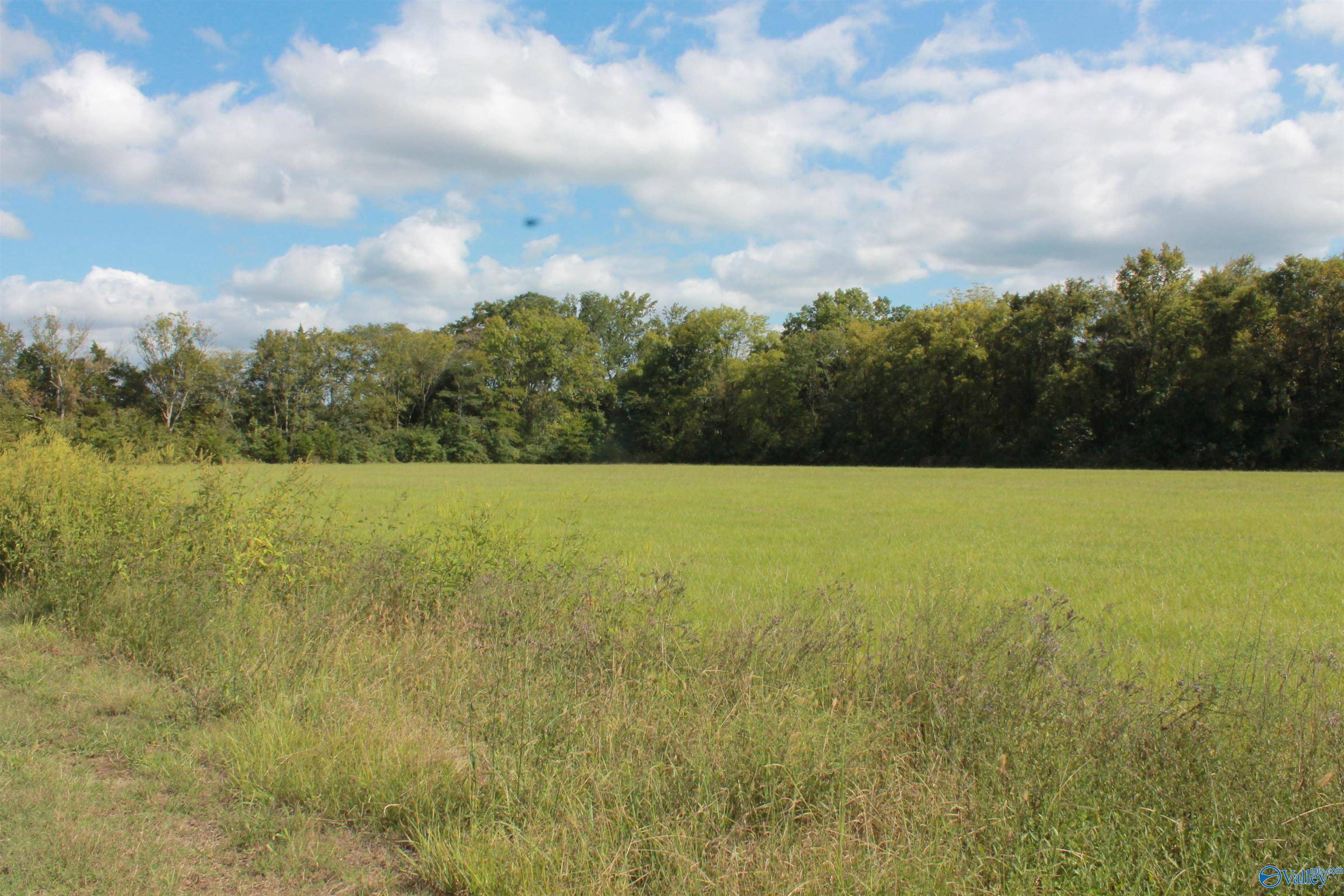 Falkville, AL 35622,10 Acres Culver Road