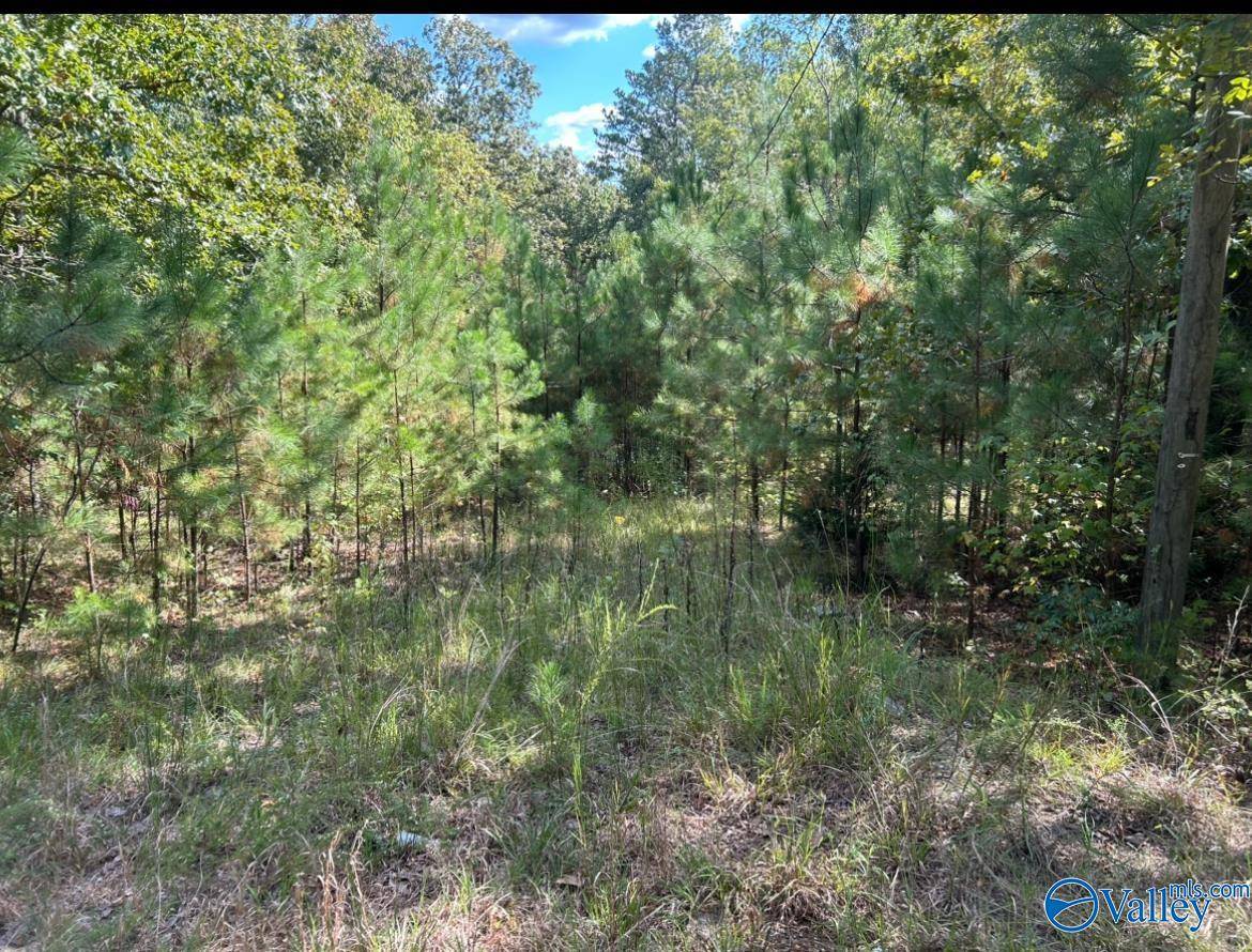 Piedmont, AL 36272,276 Siler Road