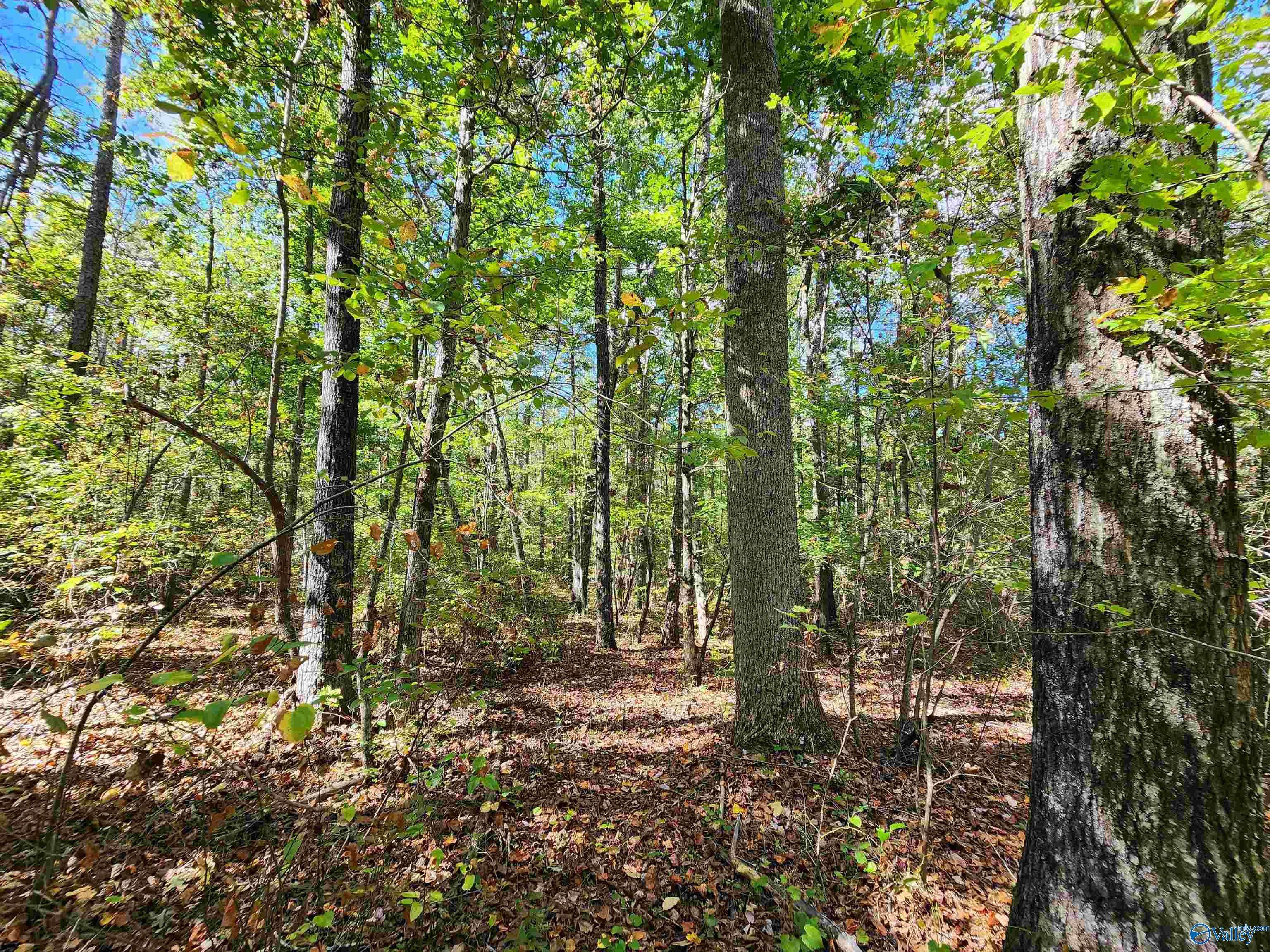 Mentone, AL 35984,Lot 17 Hunters Ridge Phase Iii