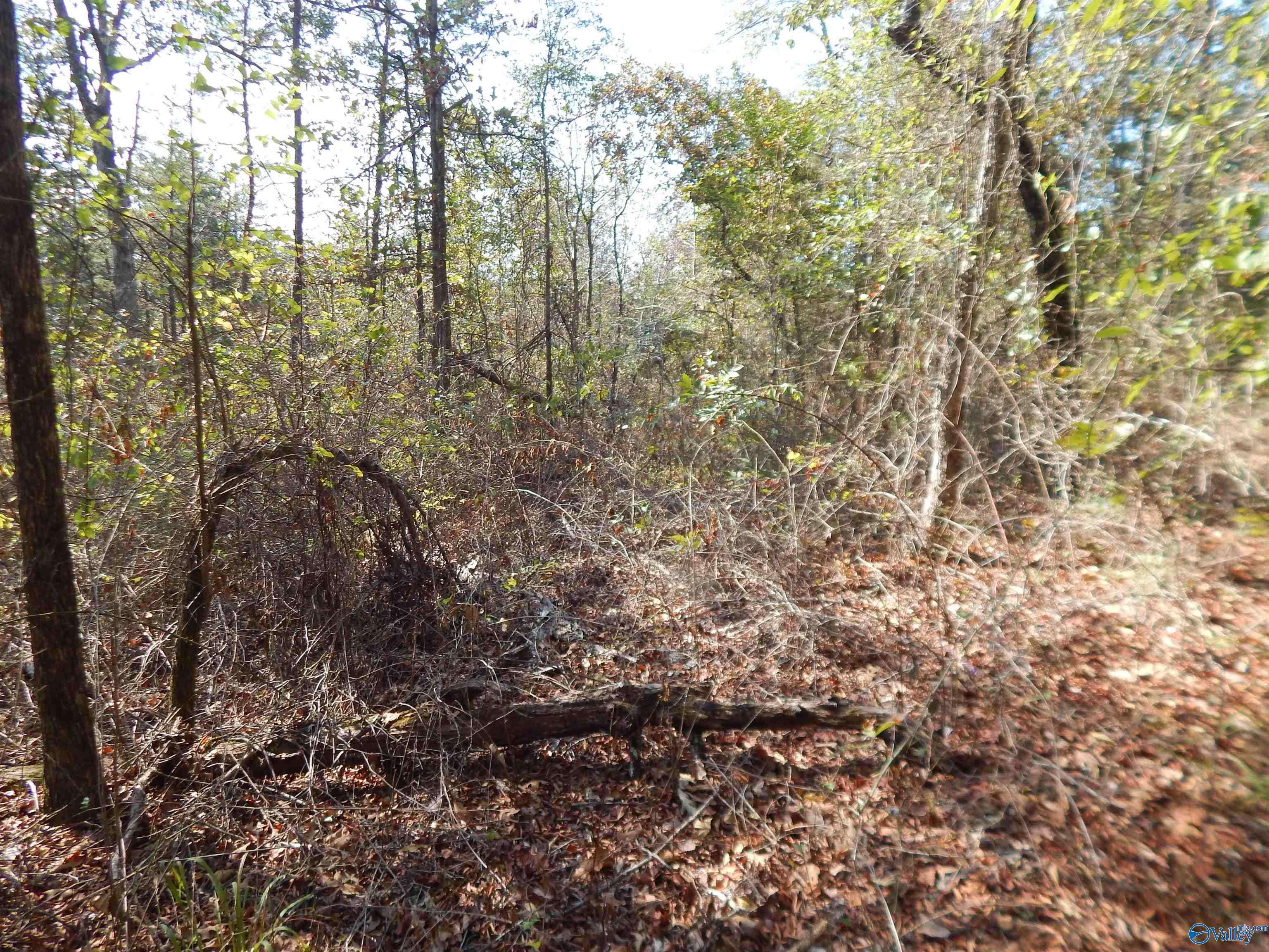 Fort Payne, AL 35967,LOT 43 County Road 369