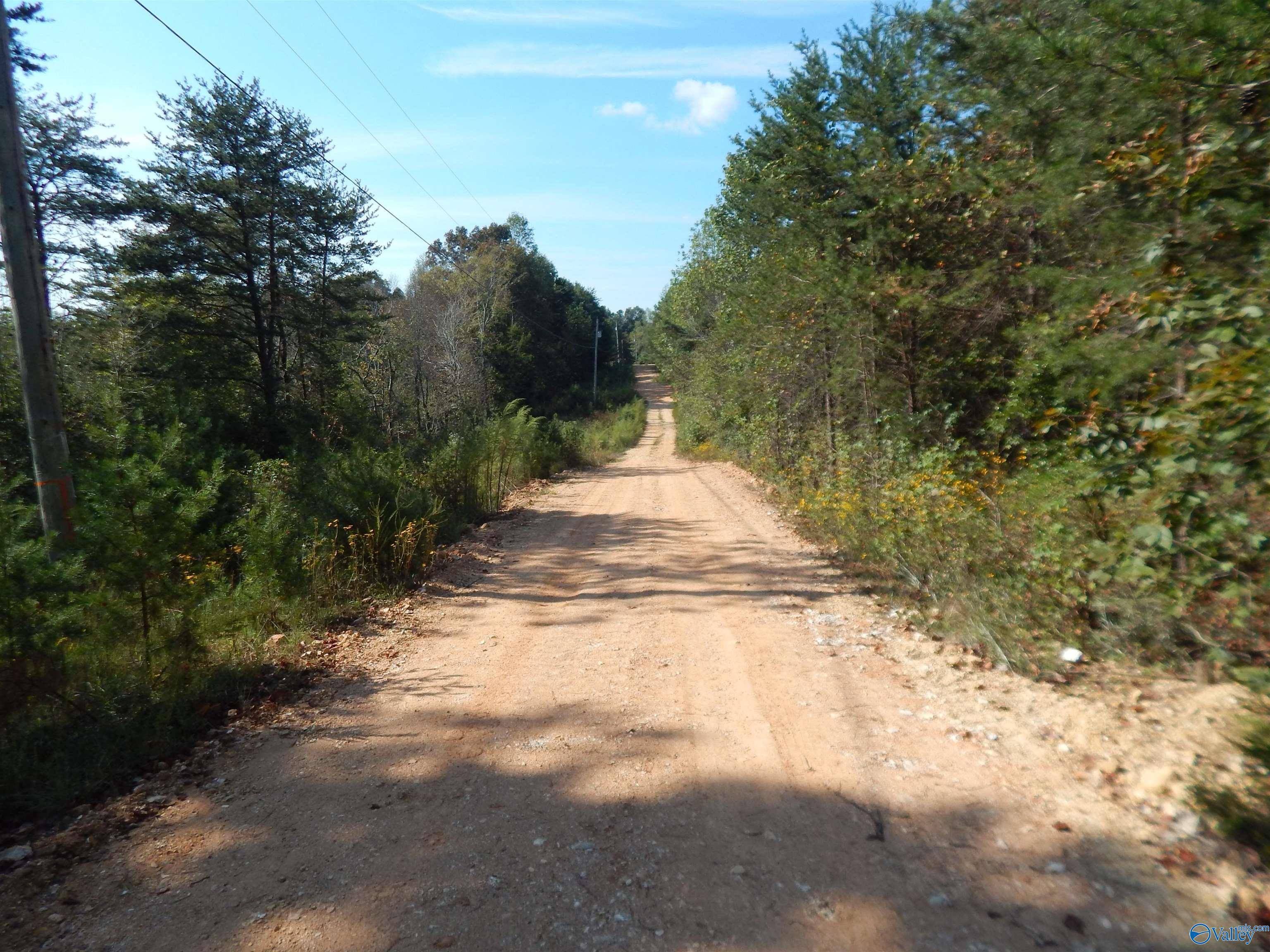 Fort Payne, AL 35967,LOT 43 County Road 369