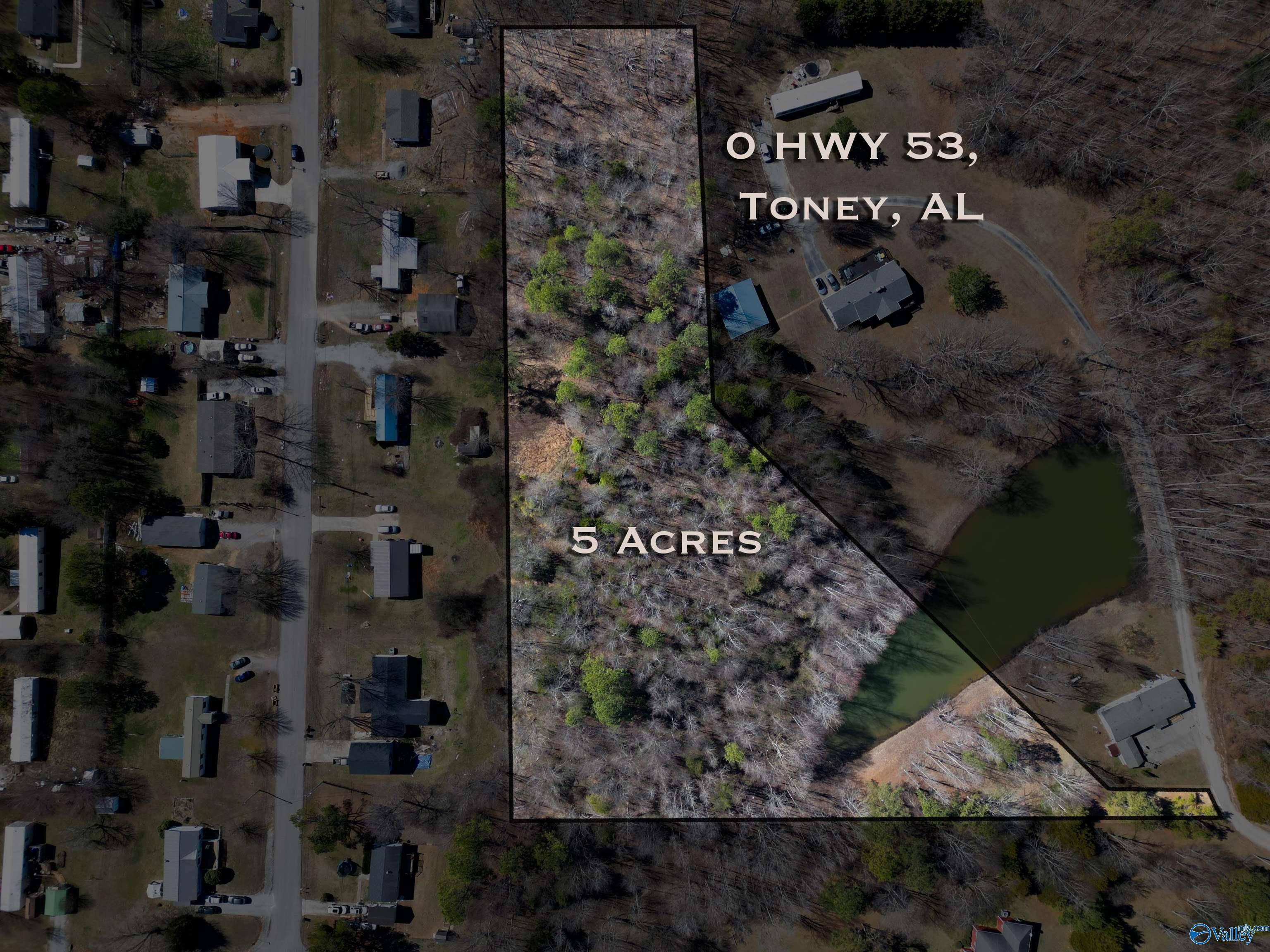 Toney, AL 35773,5 ACRES Hwy 53