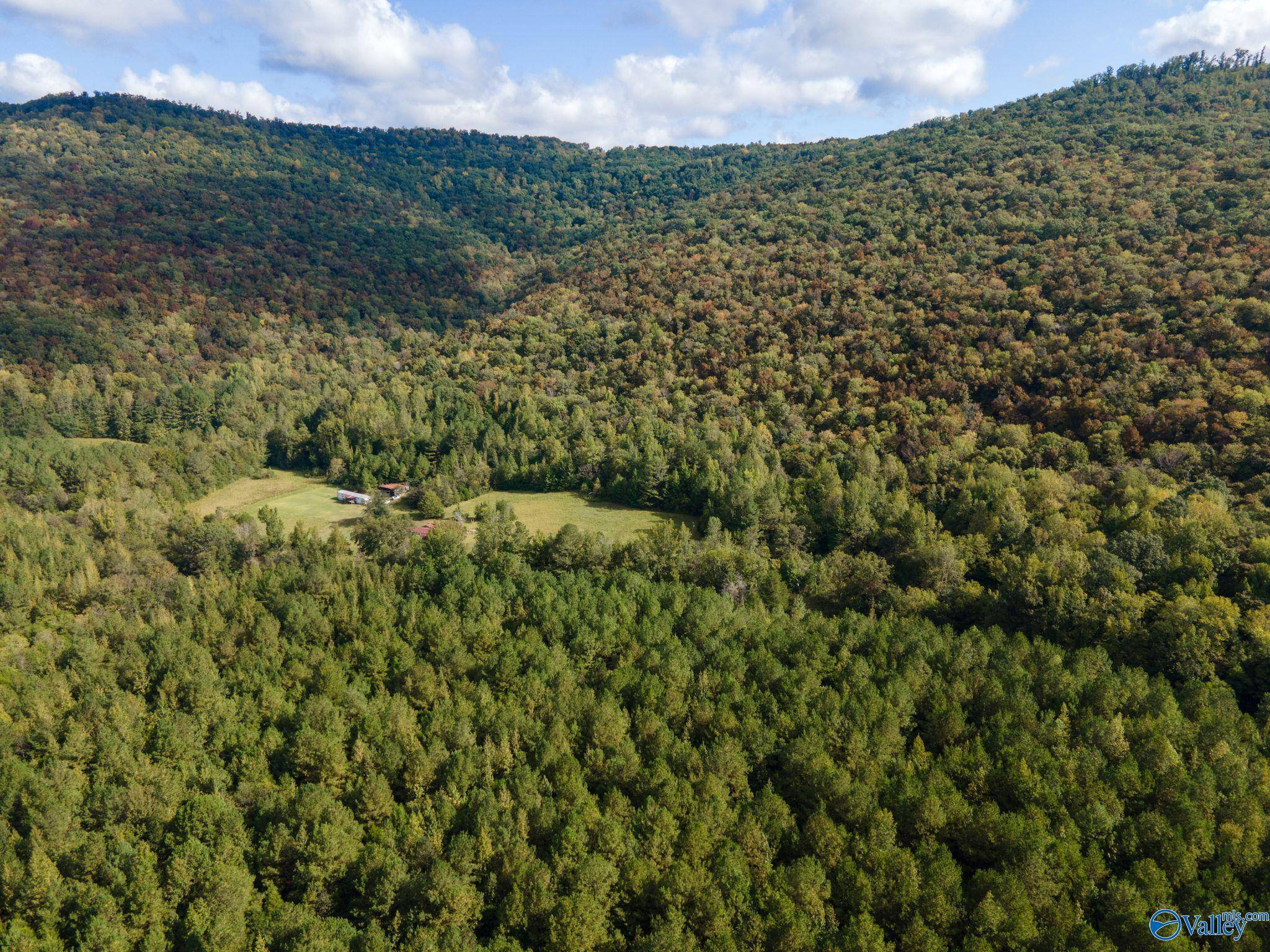 Hollytree, AL 35751,3614 County Road 4