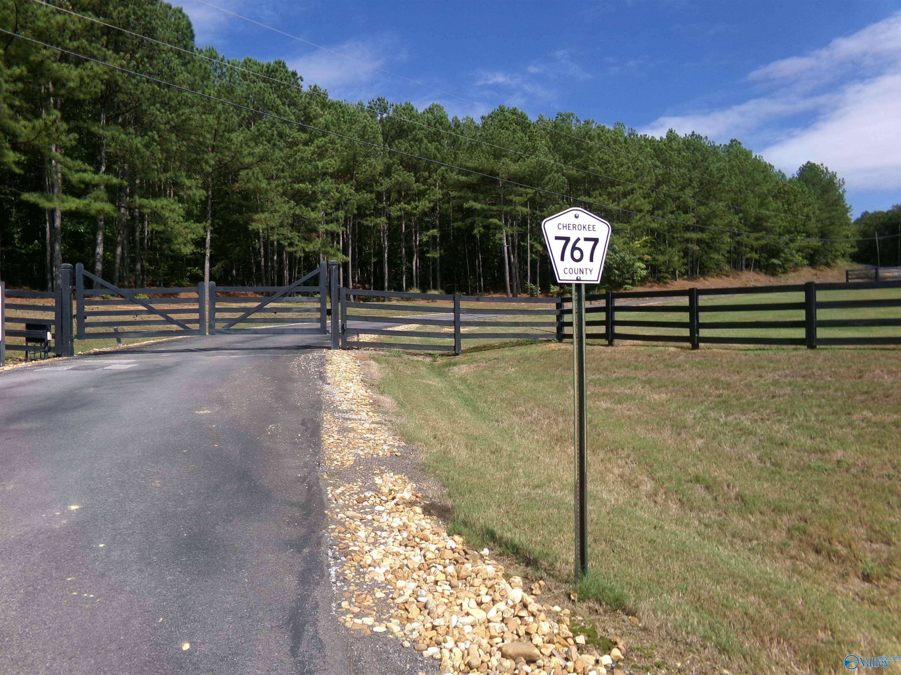 Cedar Bluff, AL 35959,Lot 51 County Road 767