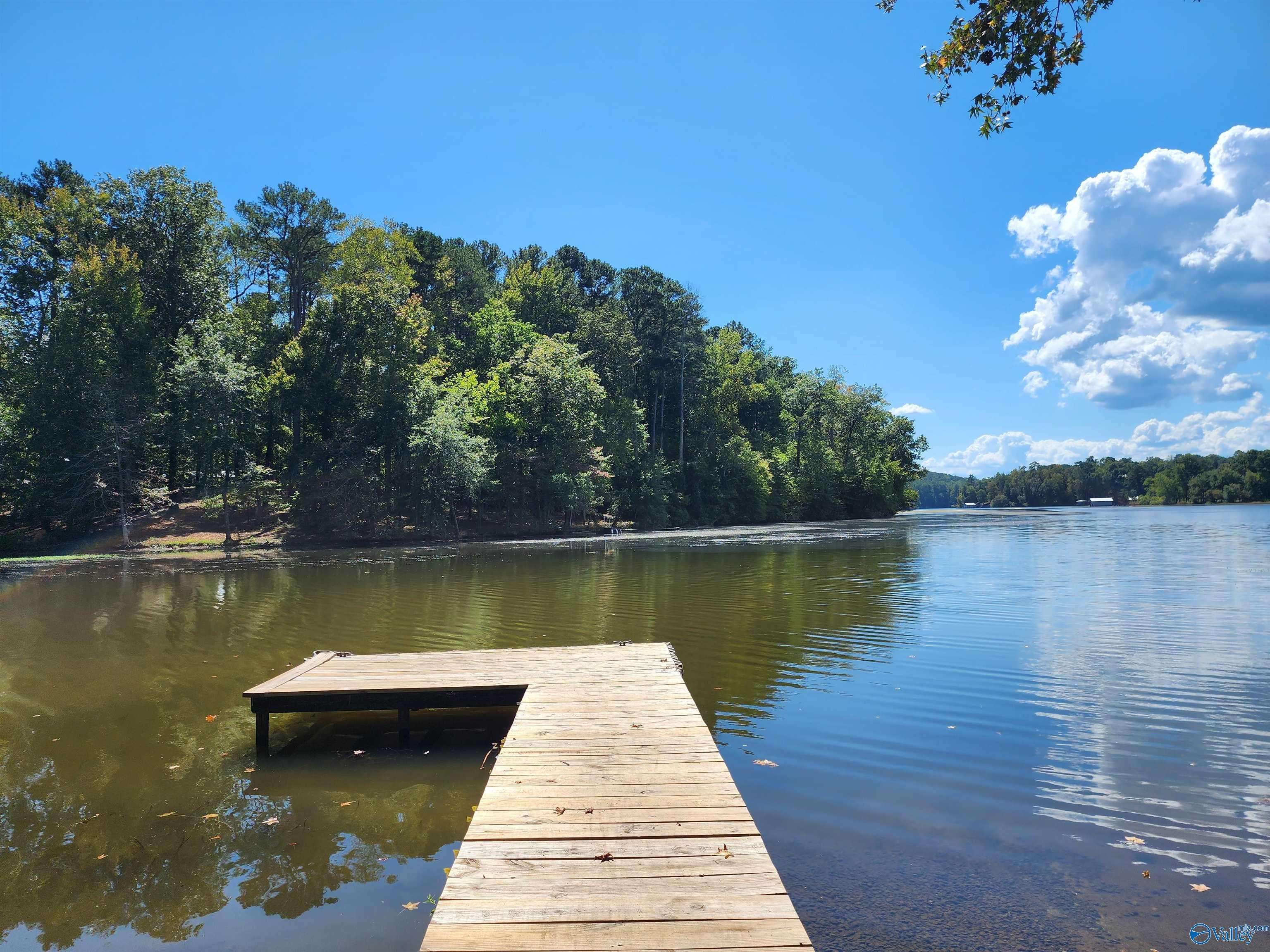 Scottsboro, AL 35769,Lot 11 Shoreland Circle