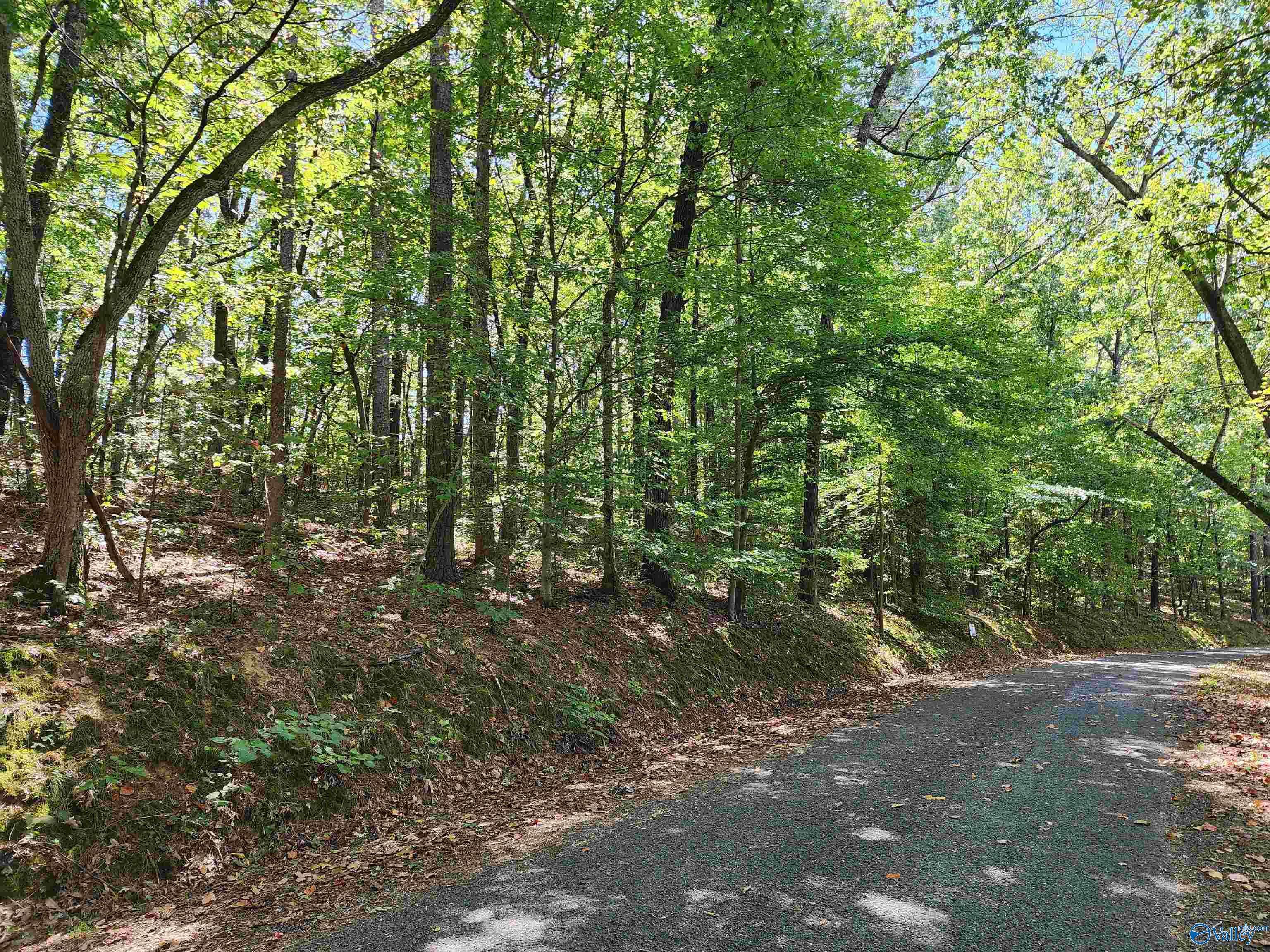 Scottsboro, AL 35769,Lot 11 Shoreland Circle