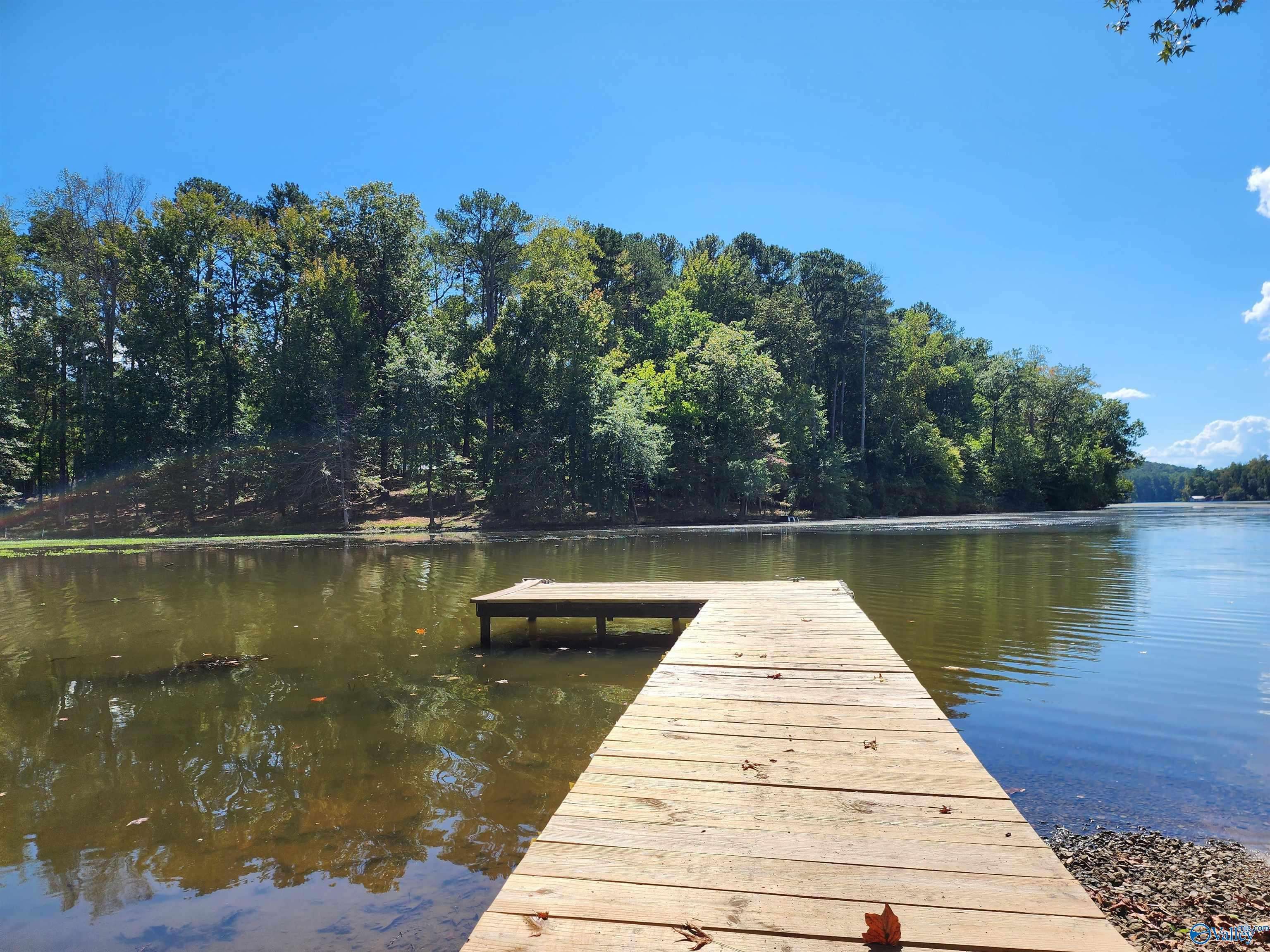 Scottsboro, AL 35769,Lot 11 Shoreland Circle