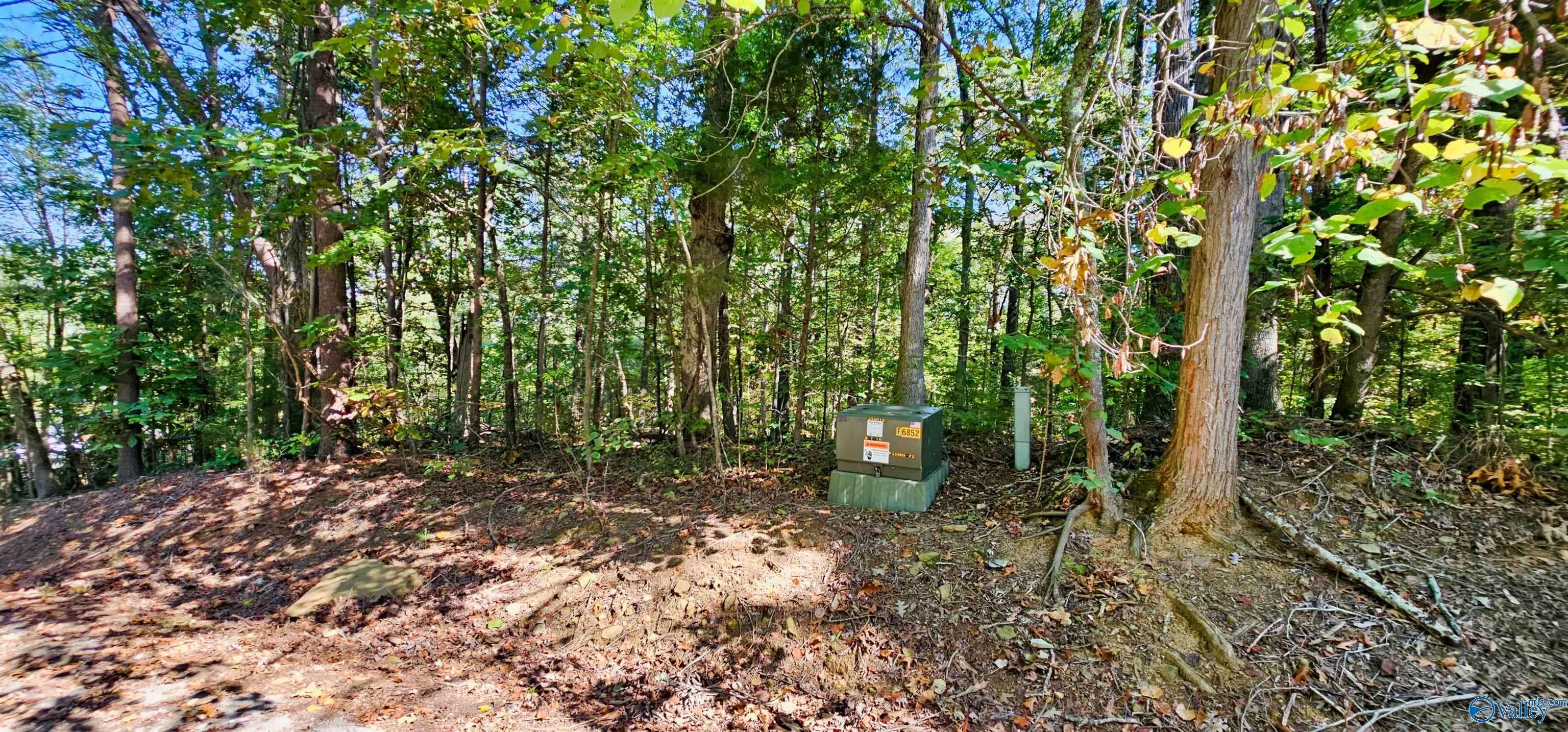 Scottsboro, AL 35769,2 Lots Trail Ridge Road