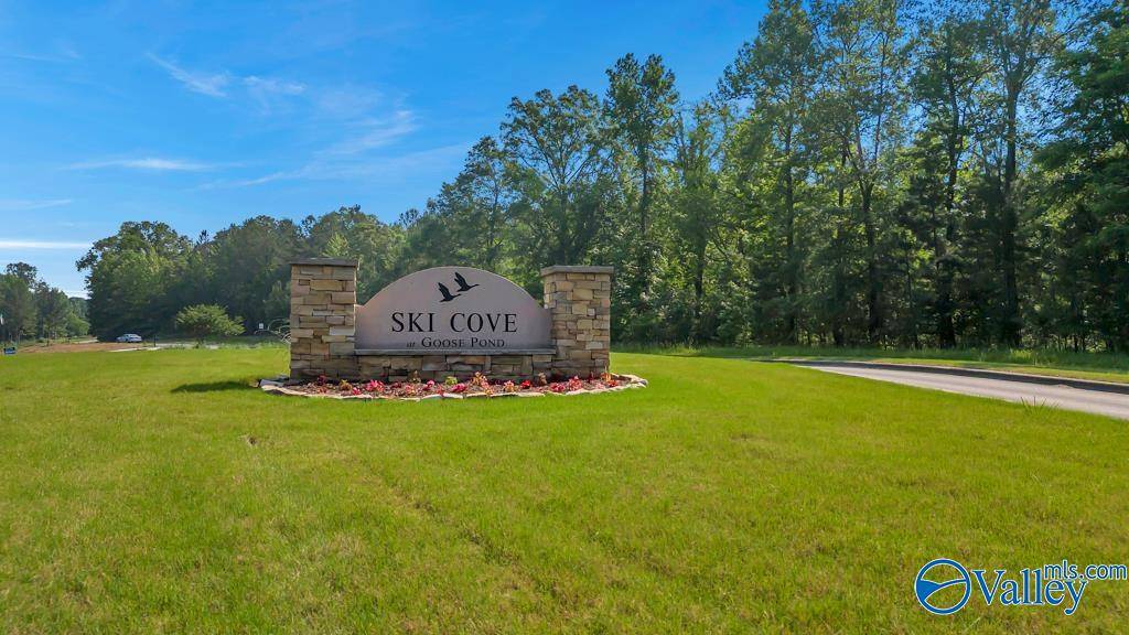 Scottsboro, AL 35769,LOT 21 Island Drive