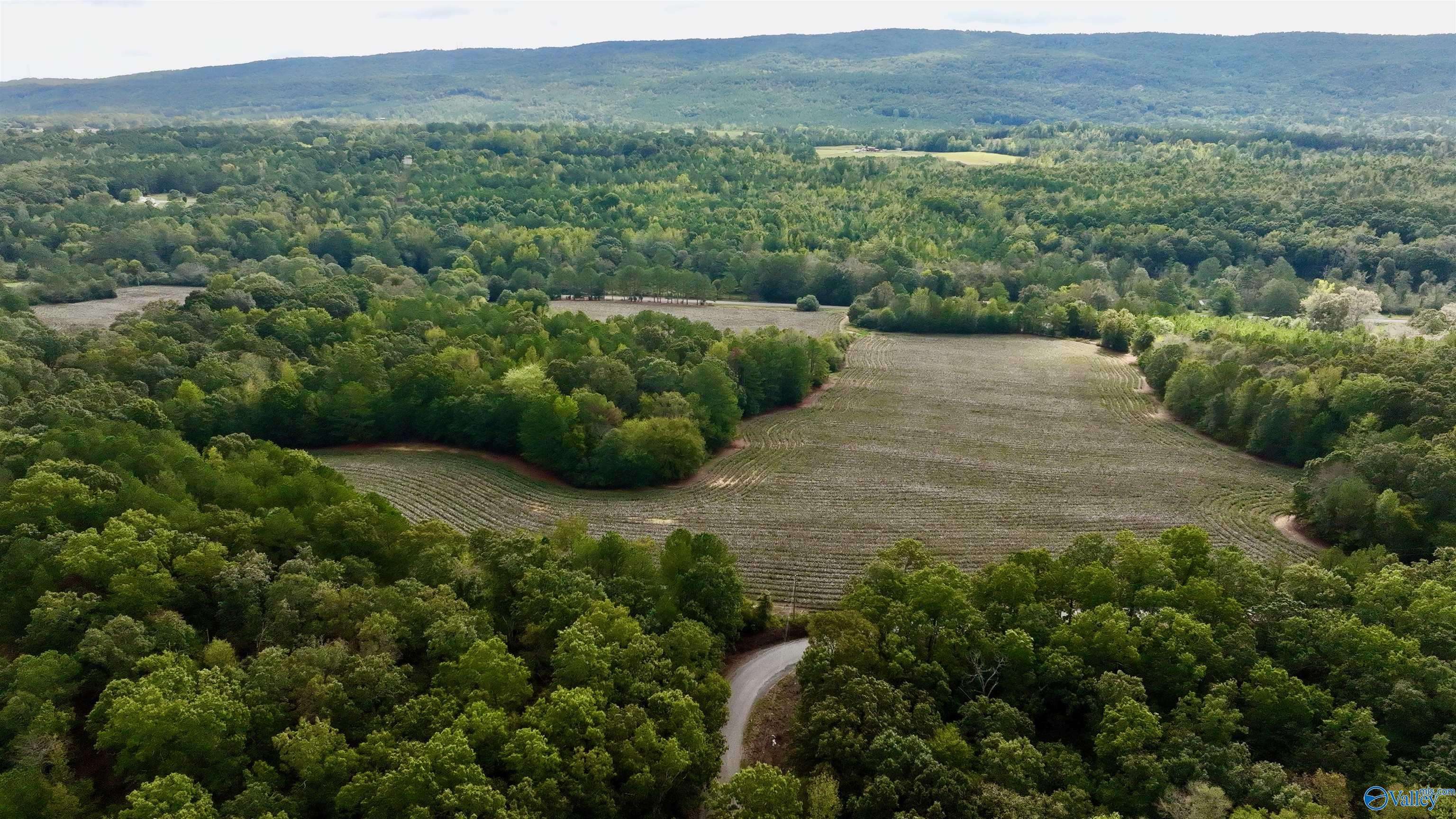 Sand Rock, AL 35961,70 acres County Road 3