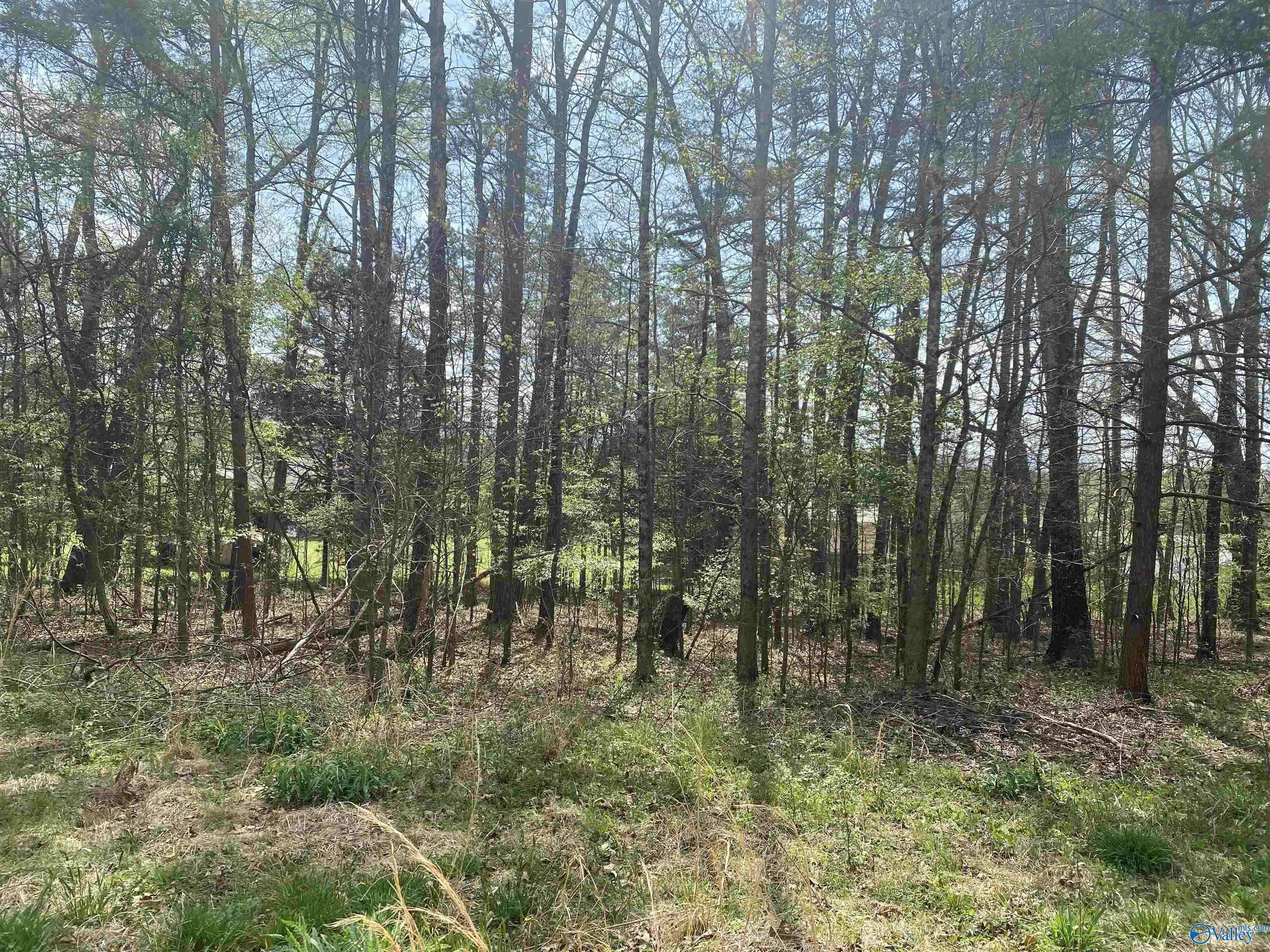 Valley Head, AL 35989,Lot 7 Hickory Lane