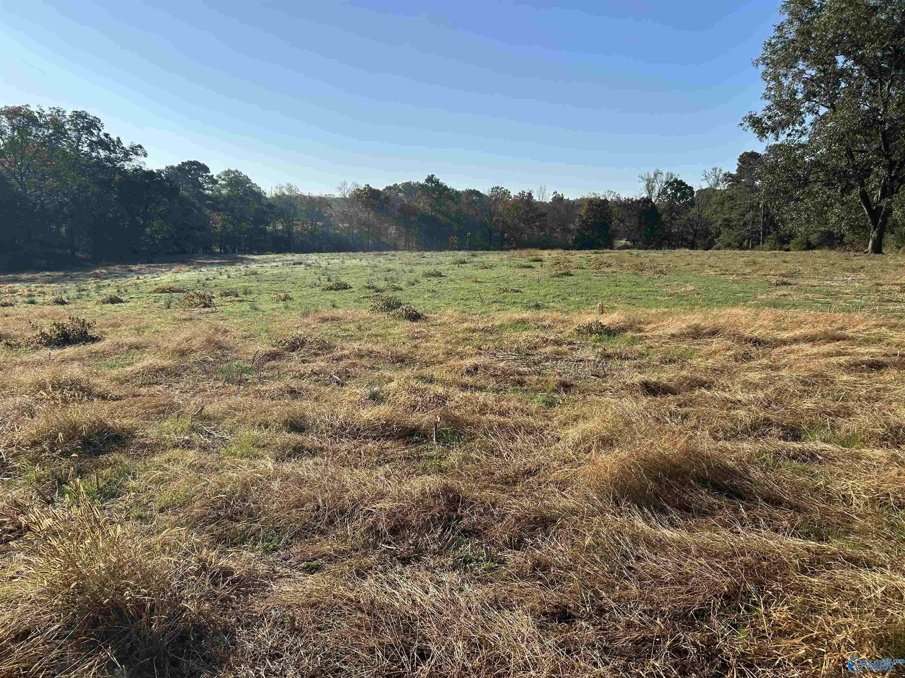 Albertville, AL 35951,80.11ac County Road 367