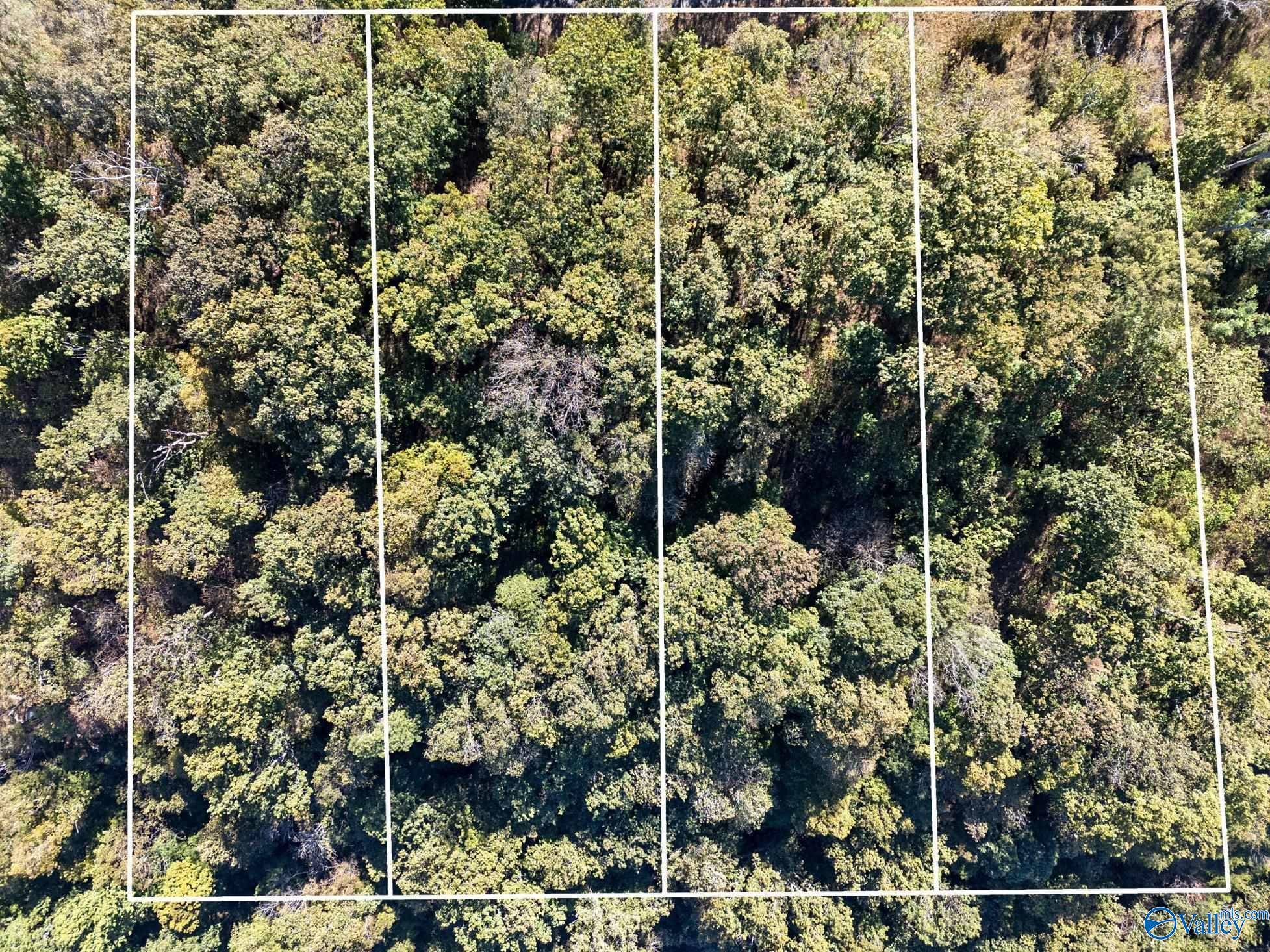 Dutton, AL 35744,Lot 1 County Road 224