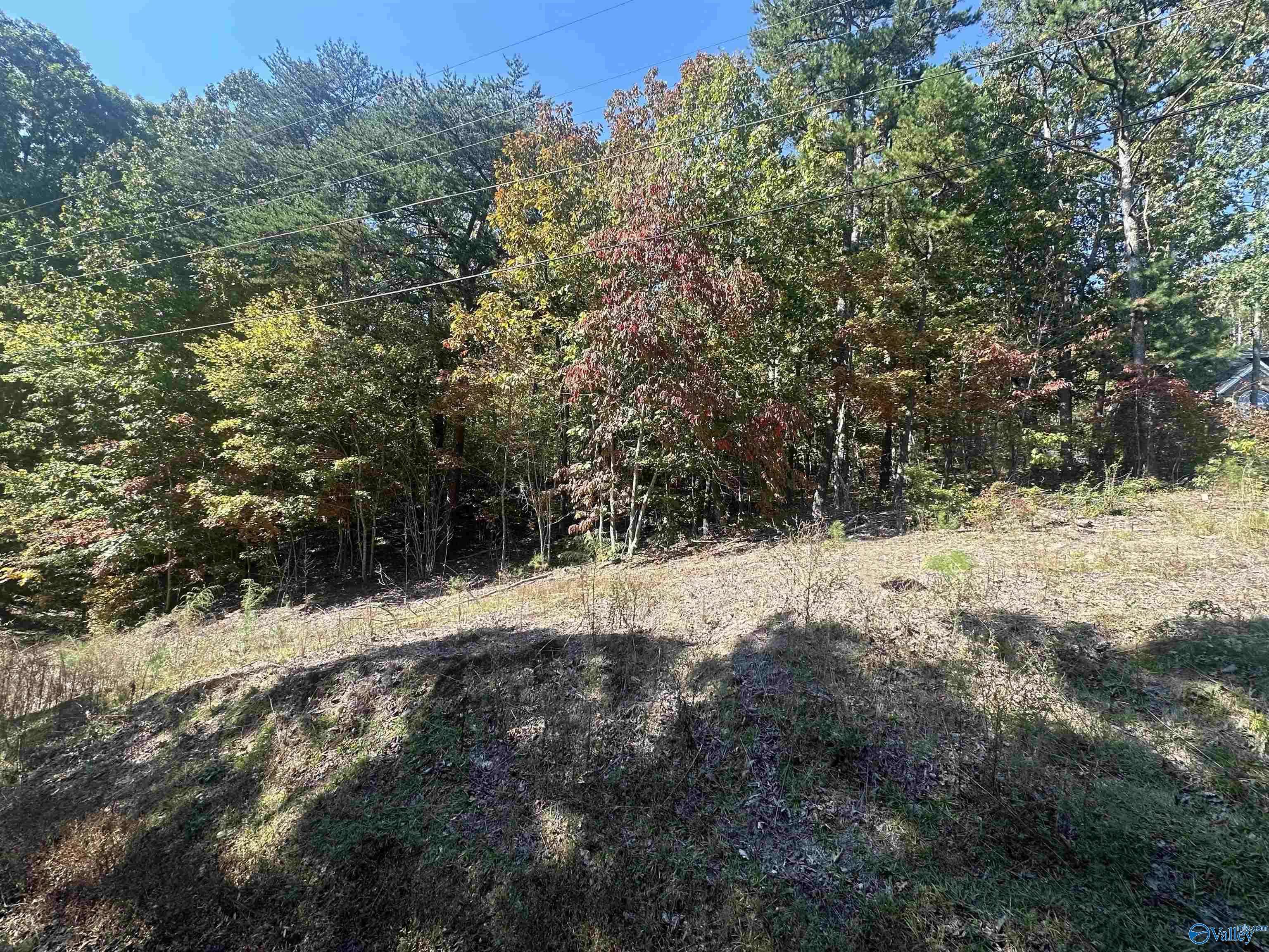 Fort Payne, AL 35967,Lot 2 Lynn Drive