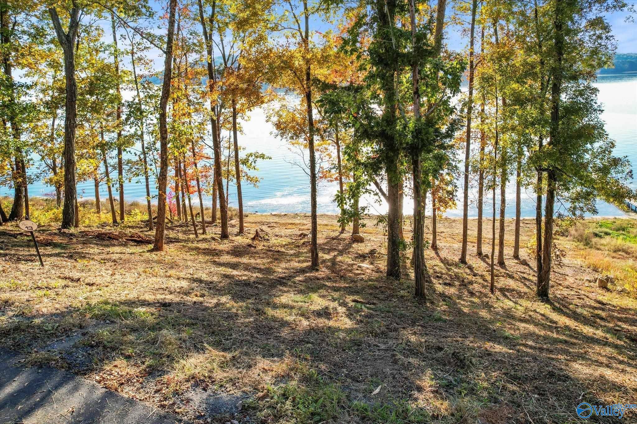 Guntersville, AL 35976,572 Reserve Drive