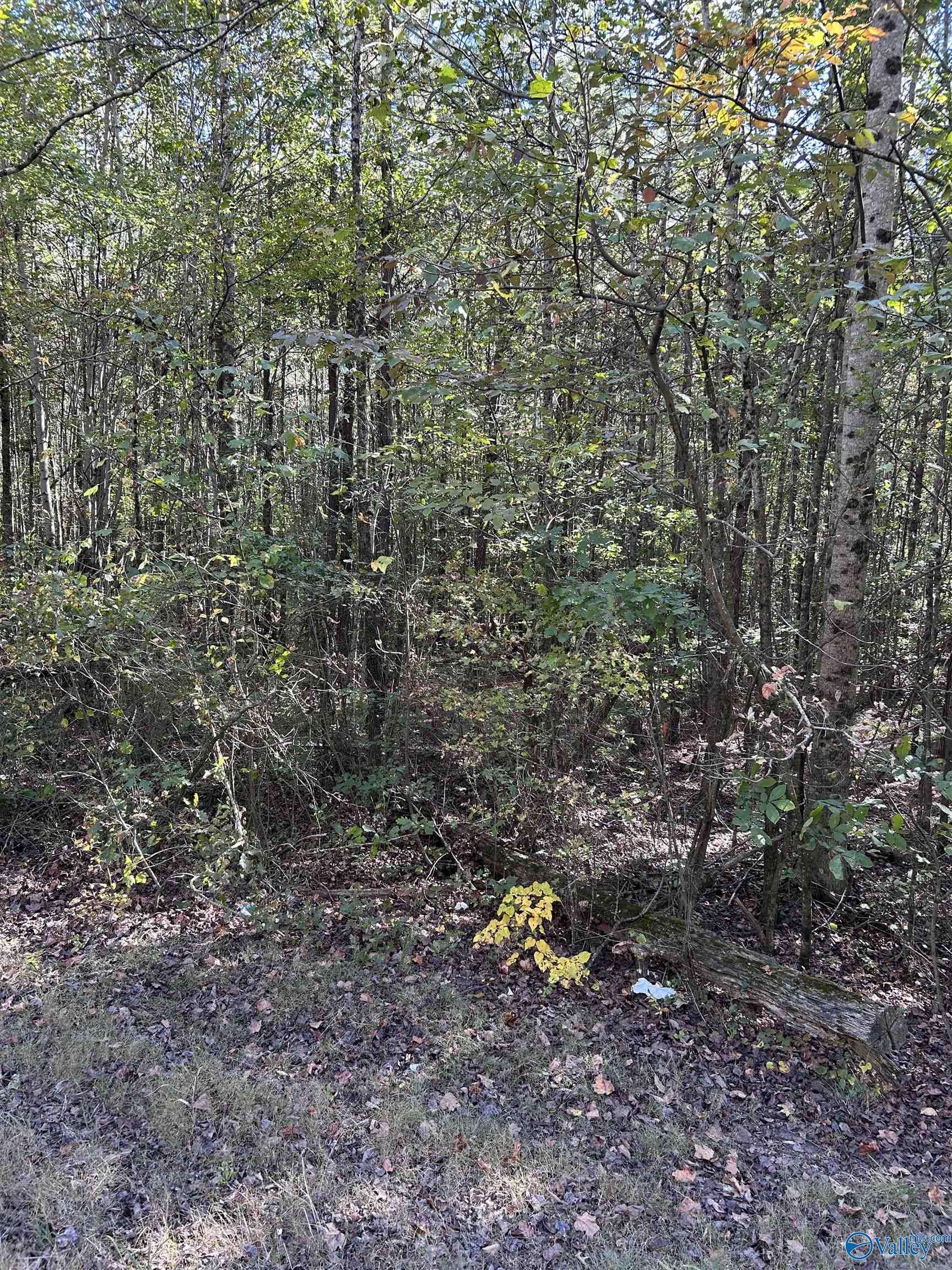 Sand Rock, AL 35983,3.31 Acres Alabama Highway 68 W