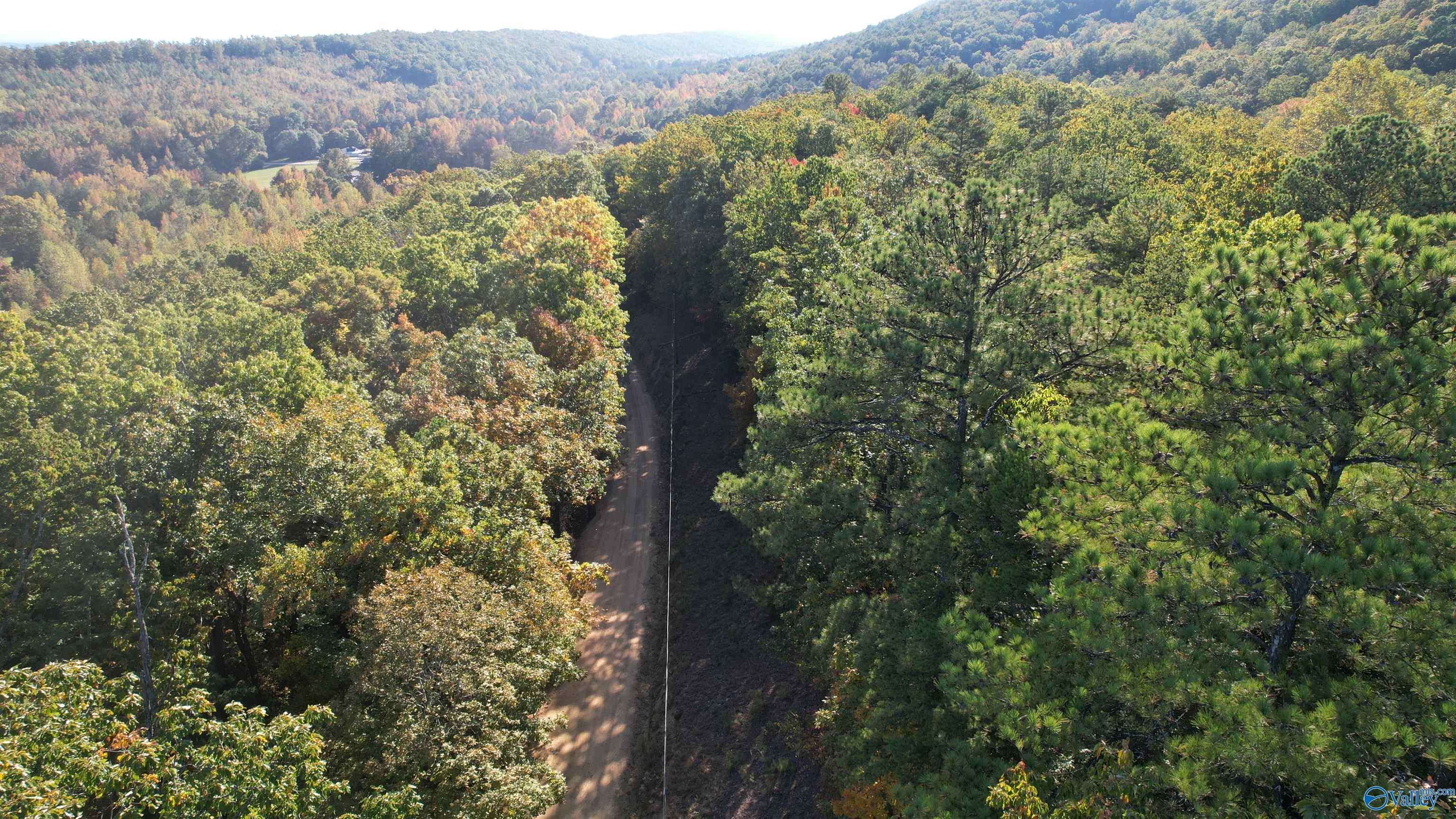 Gadsden, AL 35901,333-A Owens Switch Road