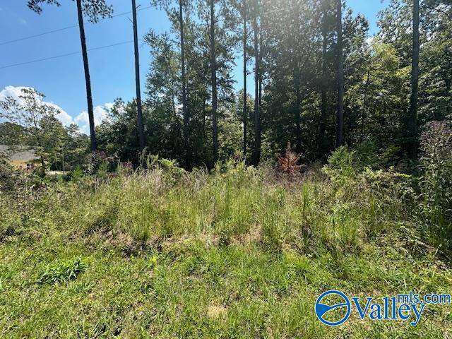 Cedar Bluff, AL 35959,Lot 7 Armstrong Road