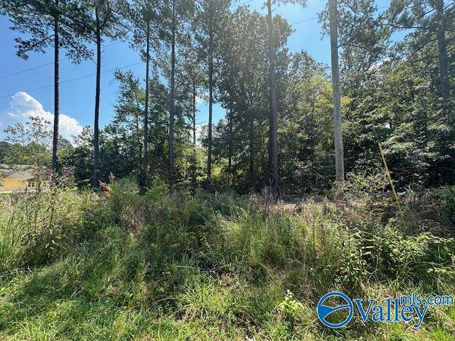 Cedar Bluff, AL 35959,Lot 7 Armstrong Road