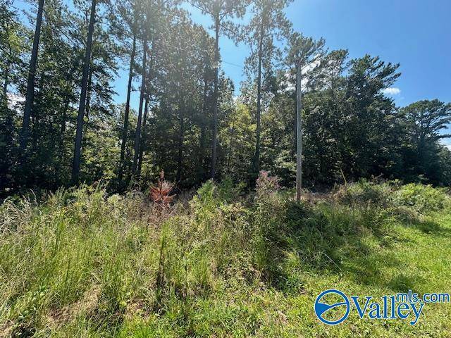 Cedar Bluff, AL 35959,Lot 7 Armstrong Road