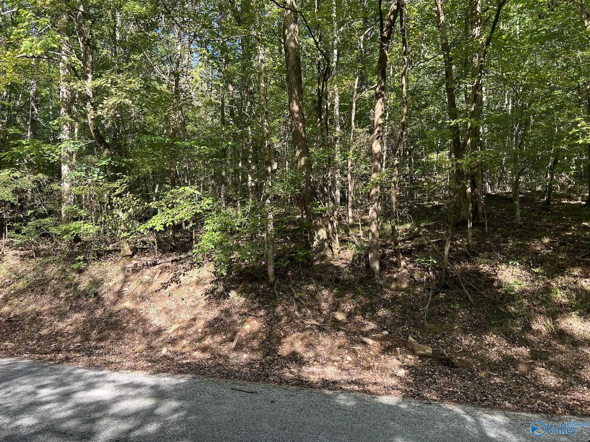 Elkmont, AL 35620,002 and 003 Chapman Hollow Road