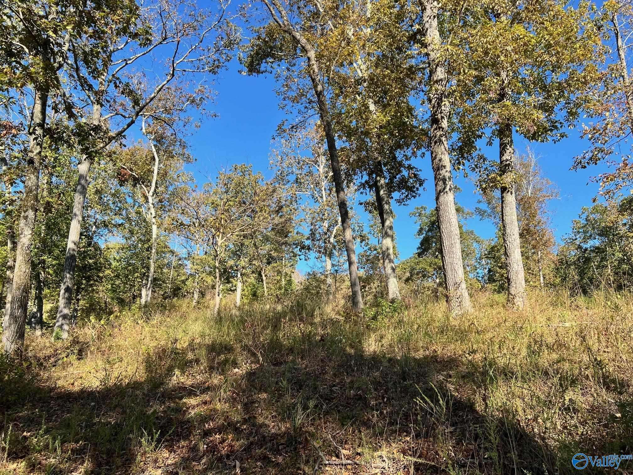 Scottsboro, AL 35769,lot 252 Lookout Mountain Drive