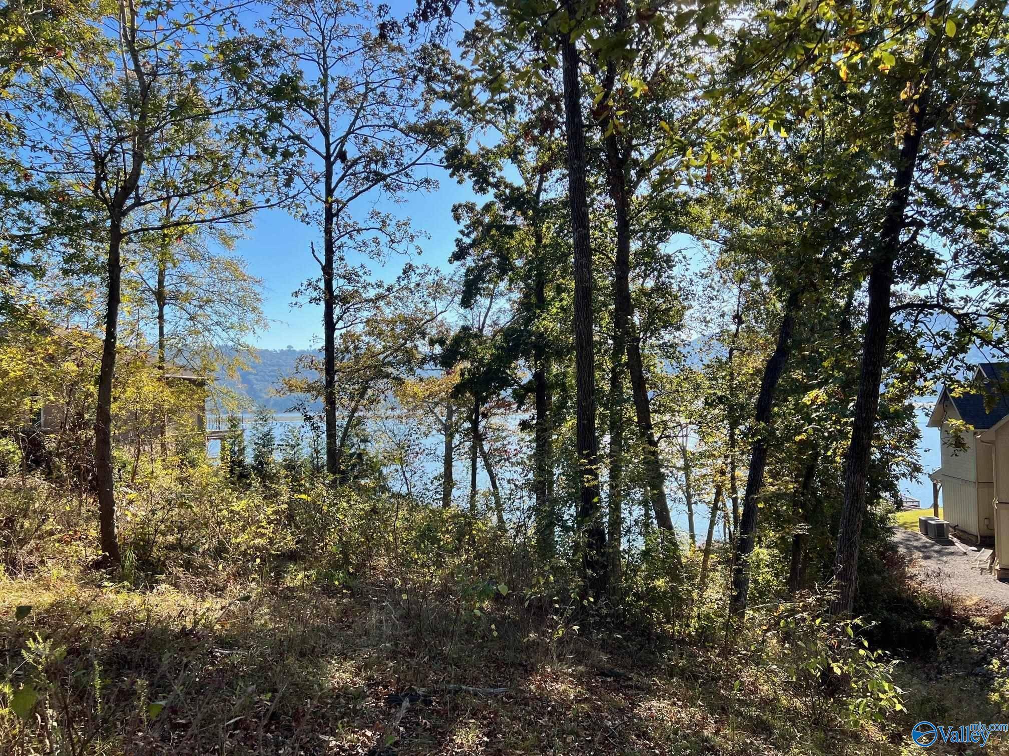 Scottsboro, AL 35769,lot 252 Lookout Mountain Drive