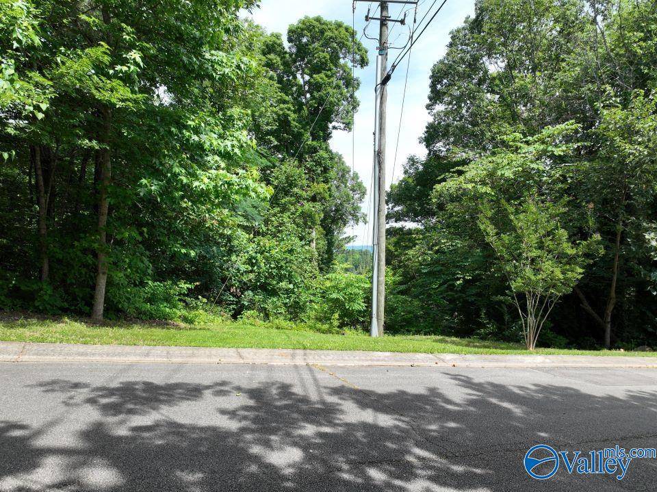 Rainbow City, AL 35906,1.09 Acres South Ridge Road