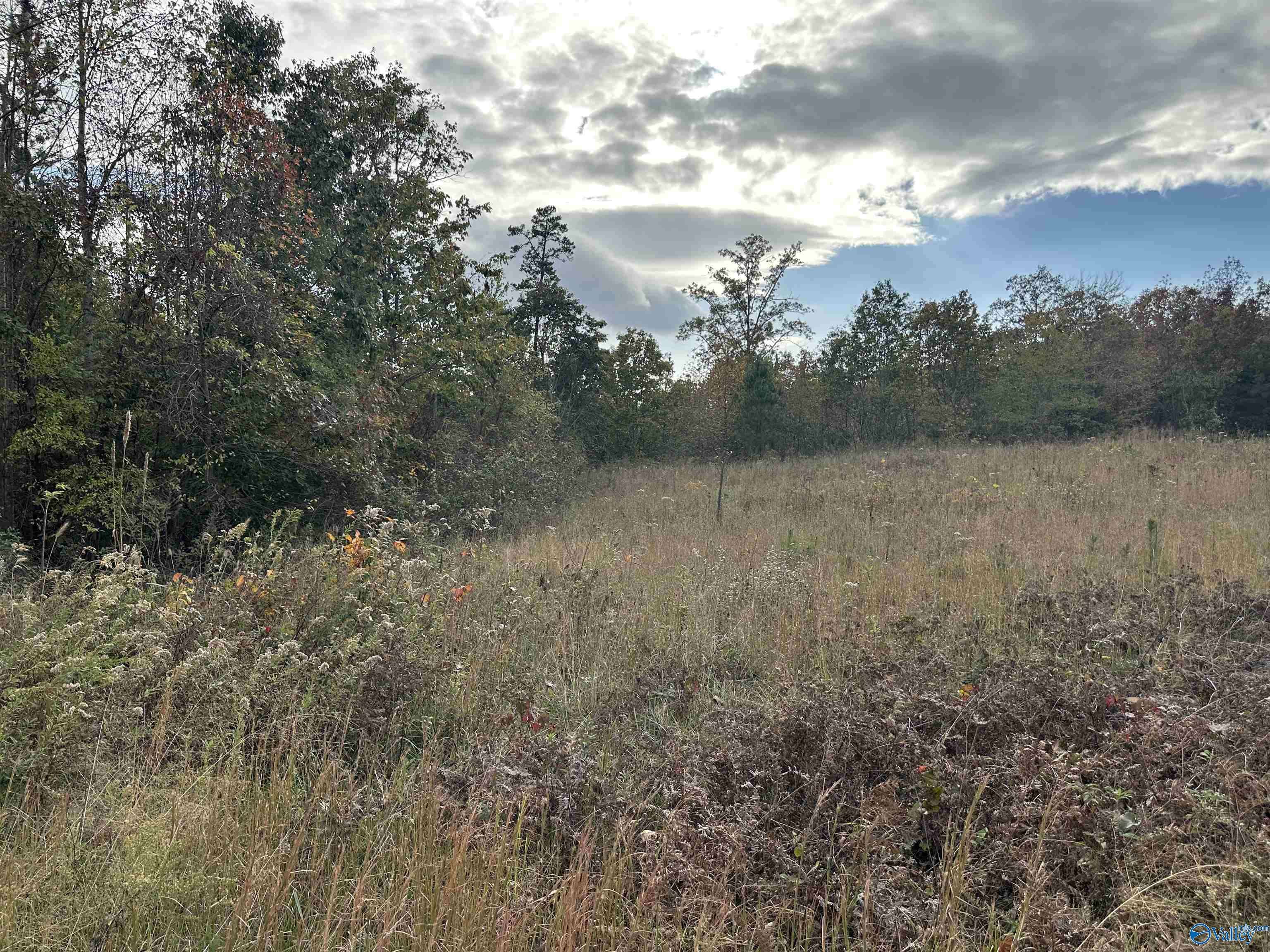 Flat Rock, AL 35966,2.50 ac County Road 681