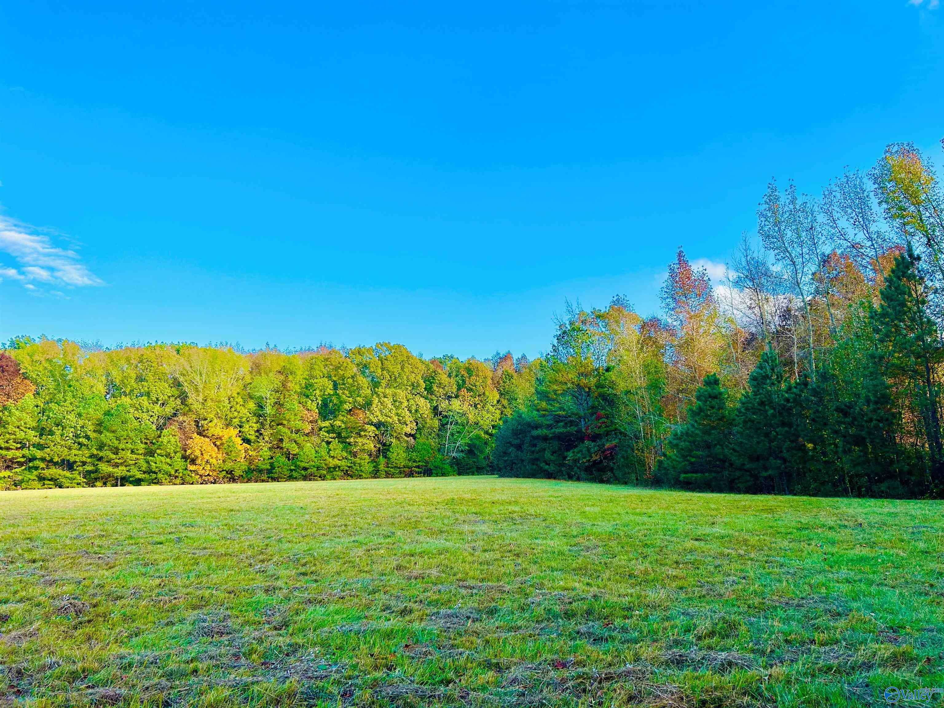 Decatur, AL 35603,Lot 2- 4210 Bennich Road